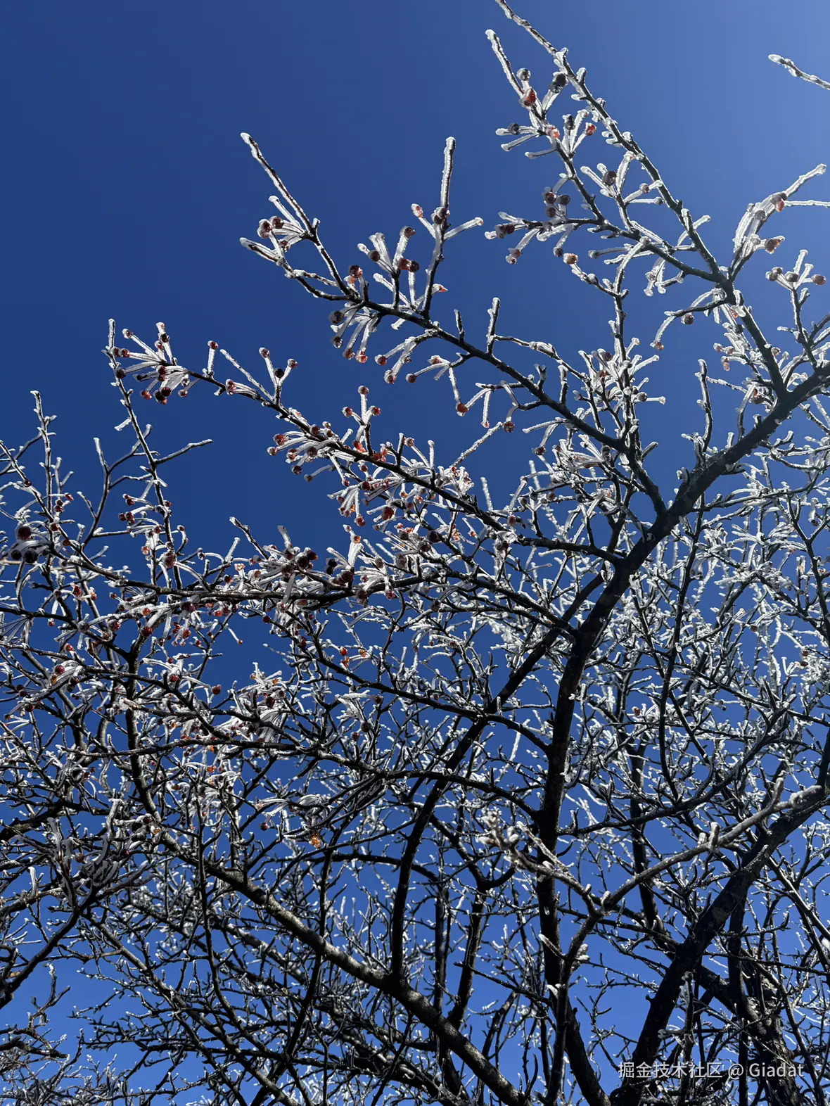 Giadat于2025-12-16 14:17发布的图片