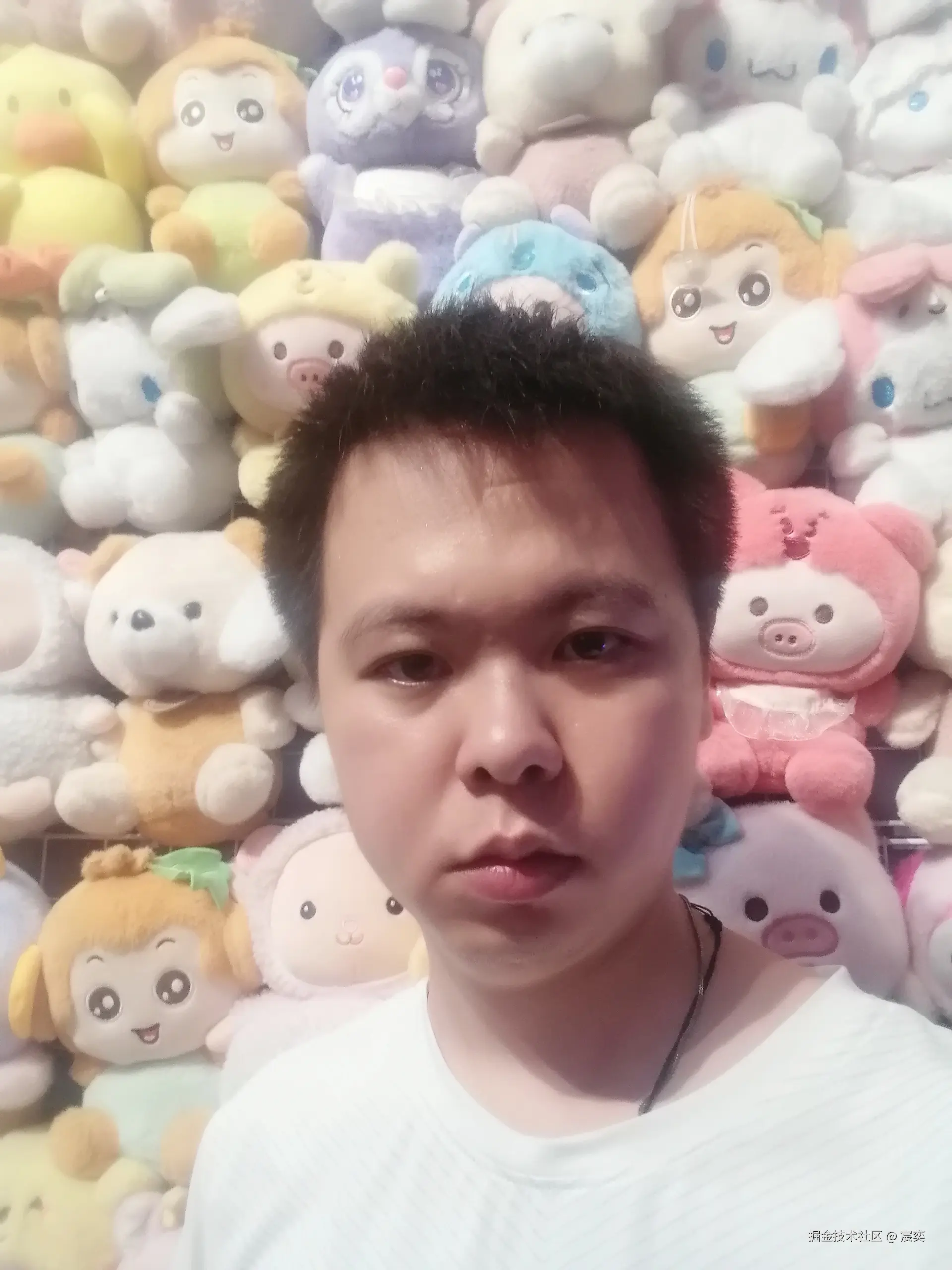 宸奕于2025-08-11 18:31发布的图片