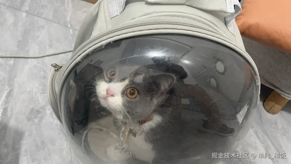 单纯_稀饭于2024-07-22 08:06发布的图片