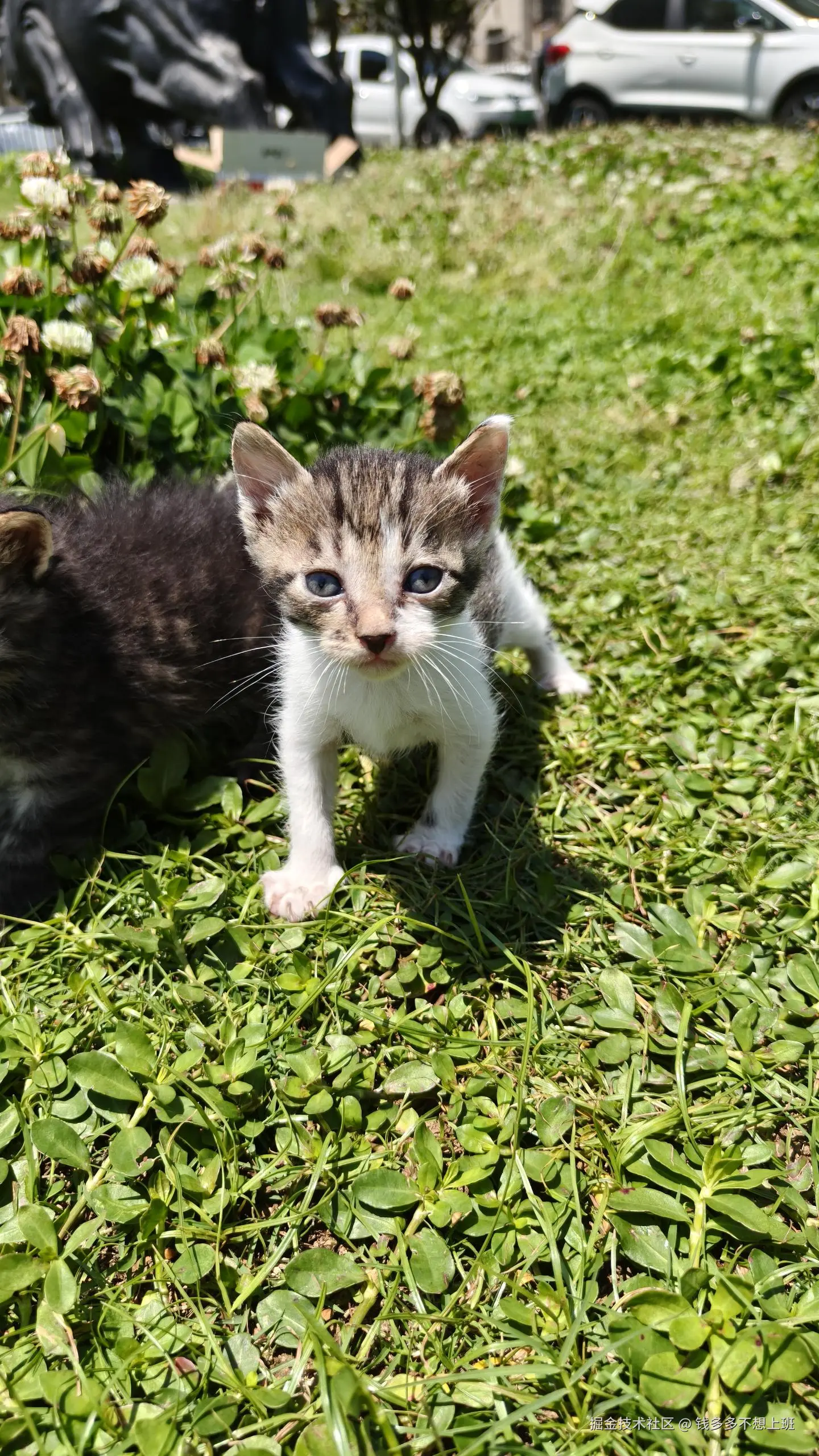 钱多多不想上班于2025-05-12 13:53发布的图片