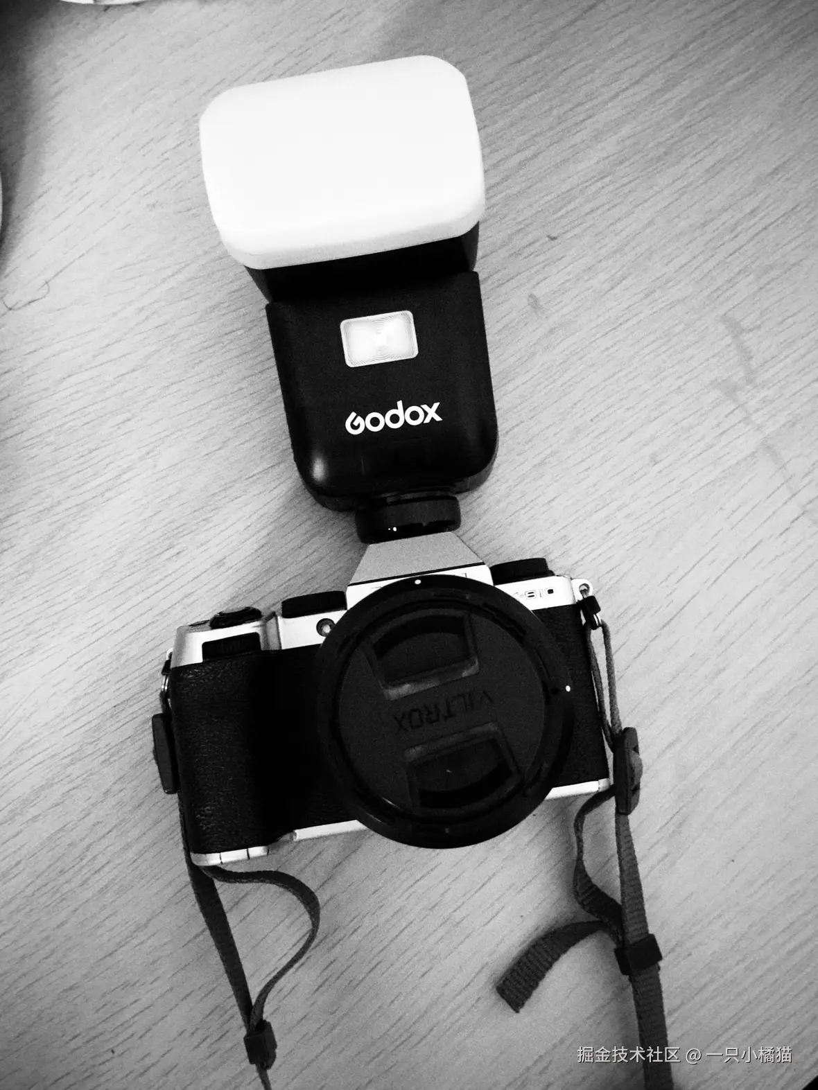 一只小橘猫于2025-08-17 15:16发布的图片