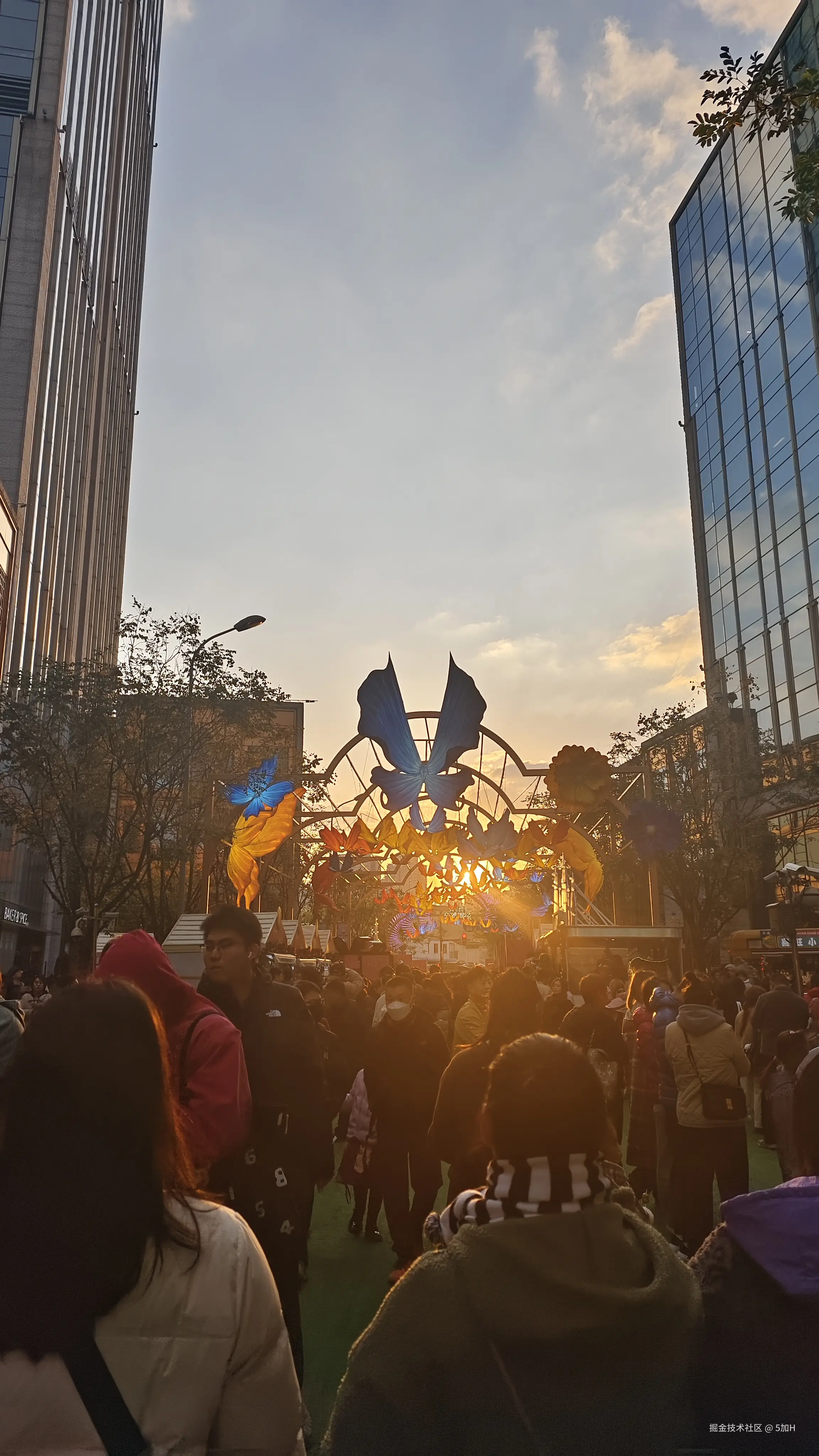 5加H于2024-12-09 02:30发布的图片