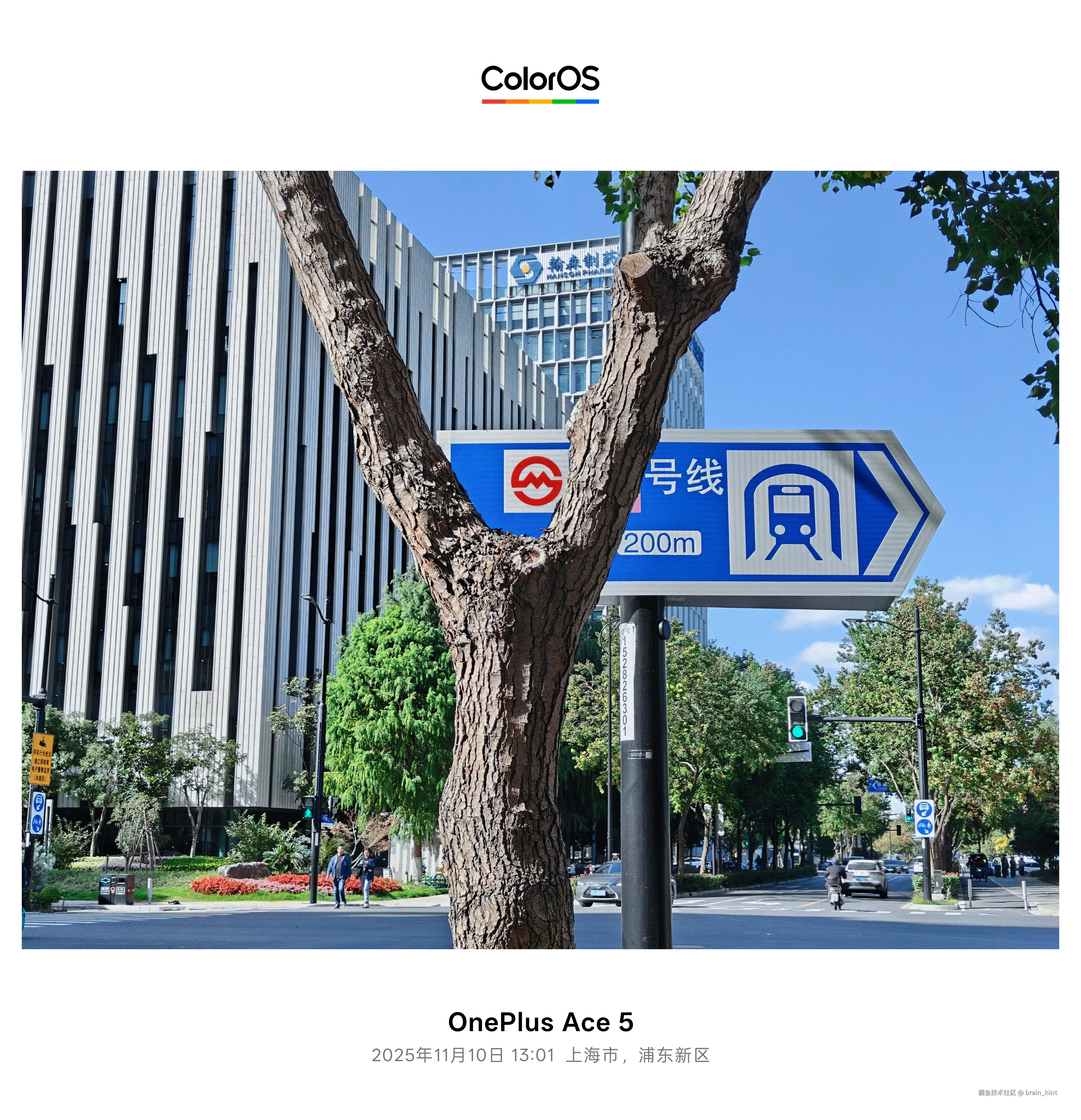 brain_hint于2025-11-10 13:19发布的图片