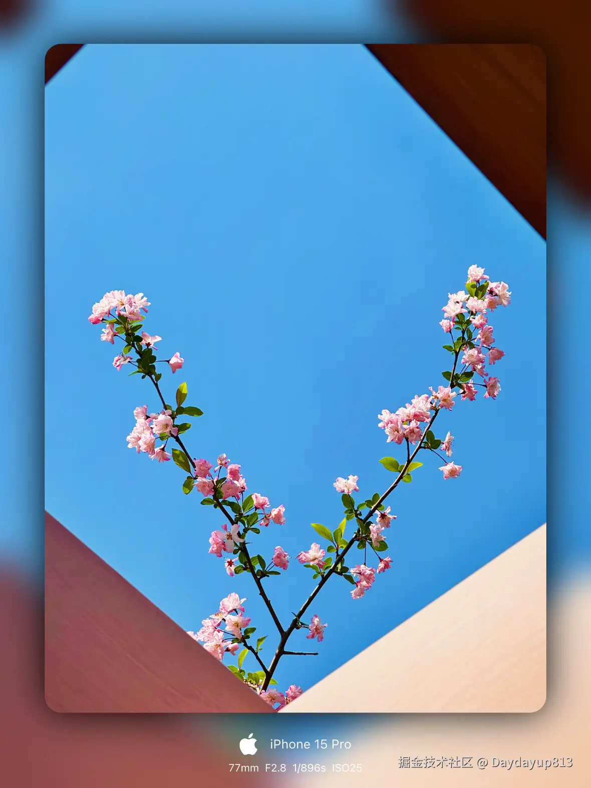 Daydayup813于2025-03-31 11:41发布的图片