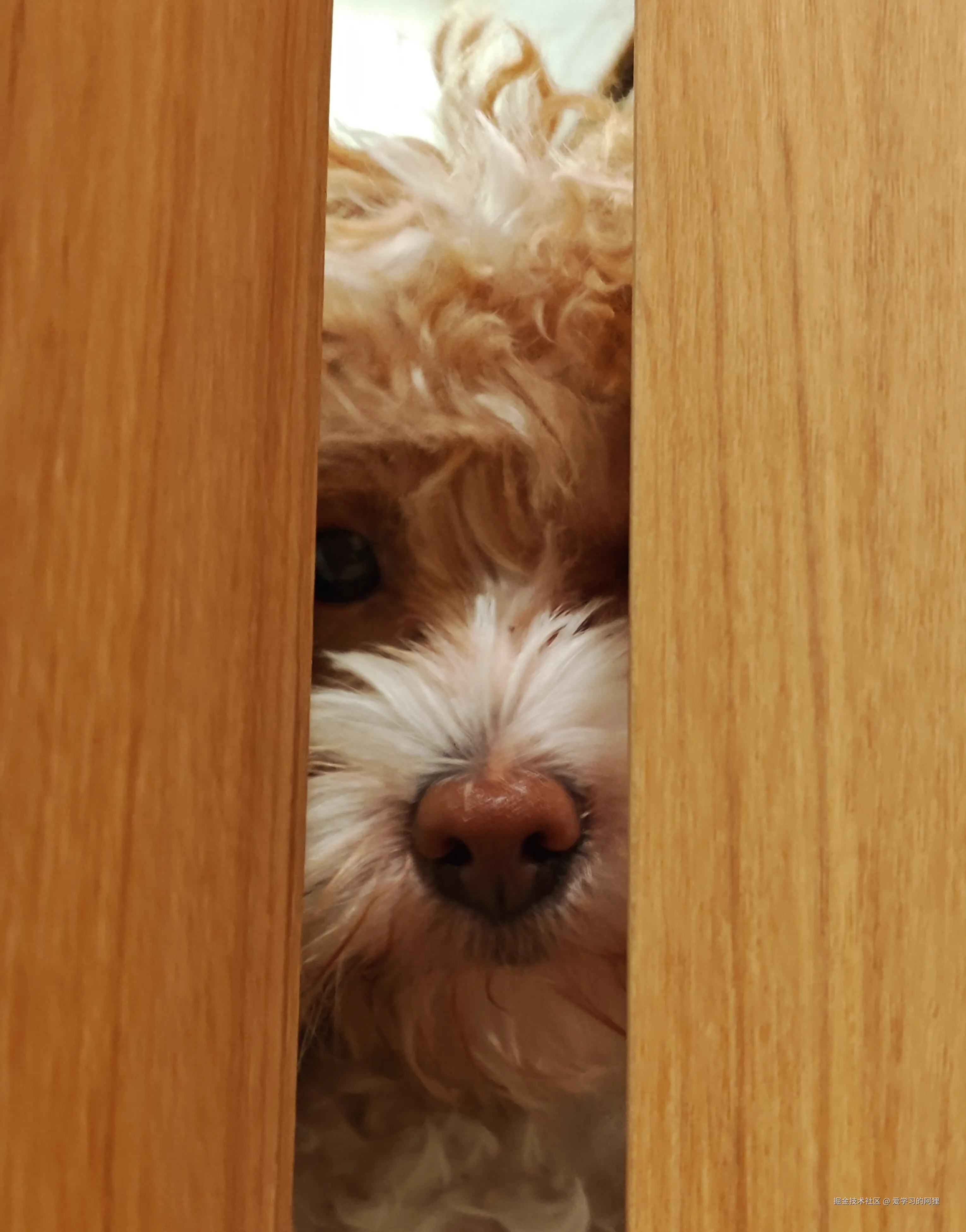 爱学习的阿狸于2025-12-04 15:03发布的图片