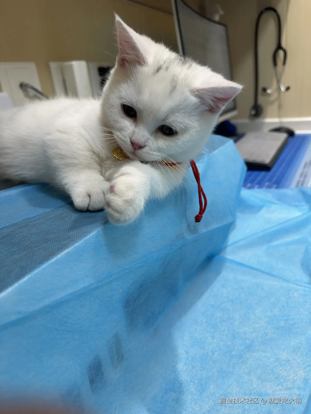 就爱吃火锅于2025-04-07 09:11发布的图片