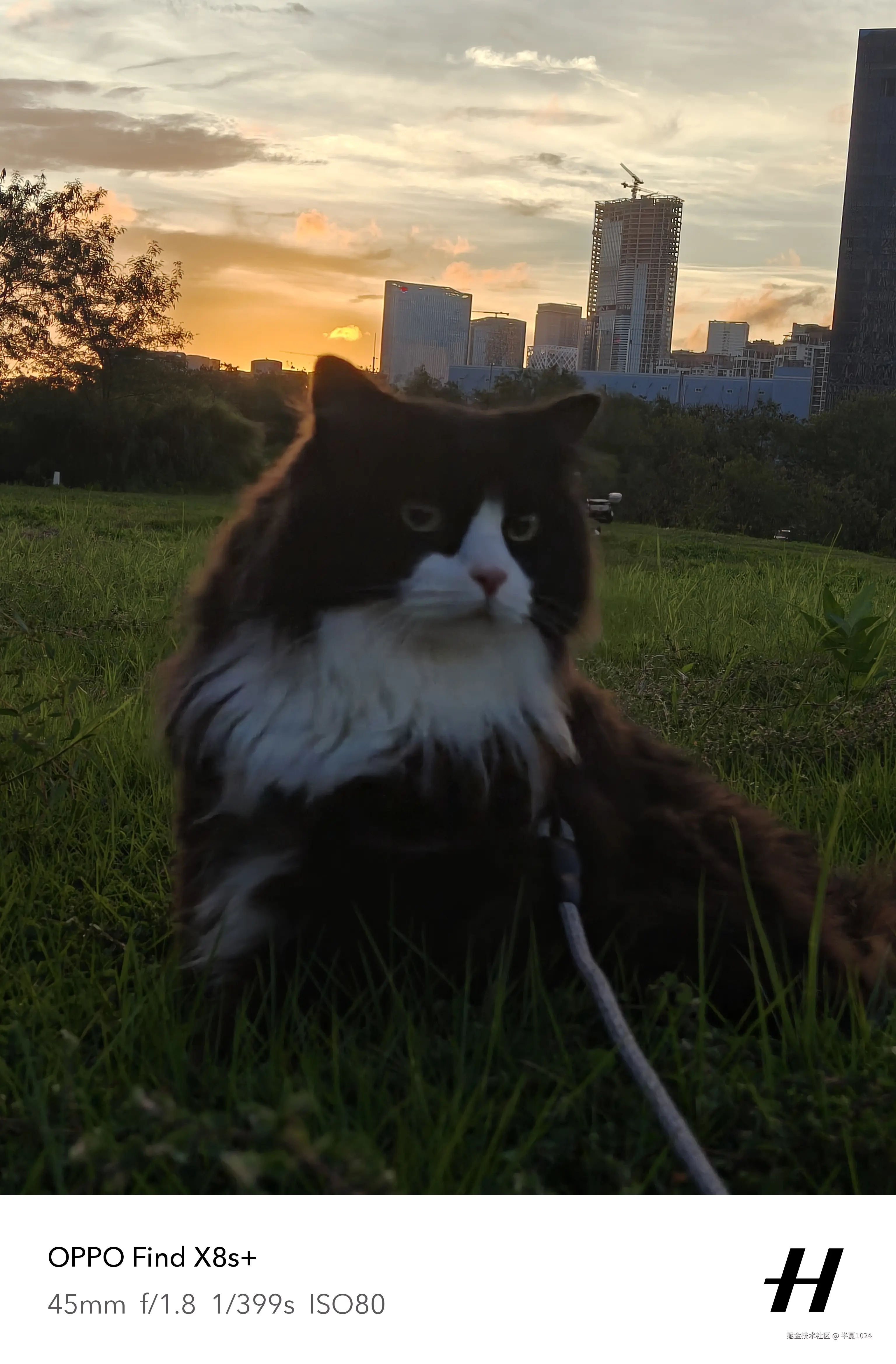 半夏1024于2025-06-23 09:42发布的图片