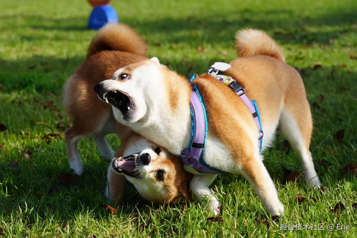 Erie于2025-11-18 08:30发布的图片