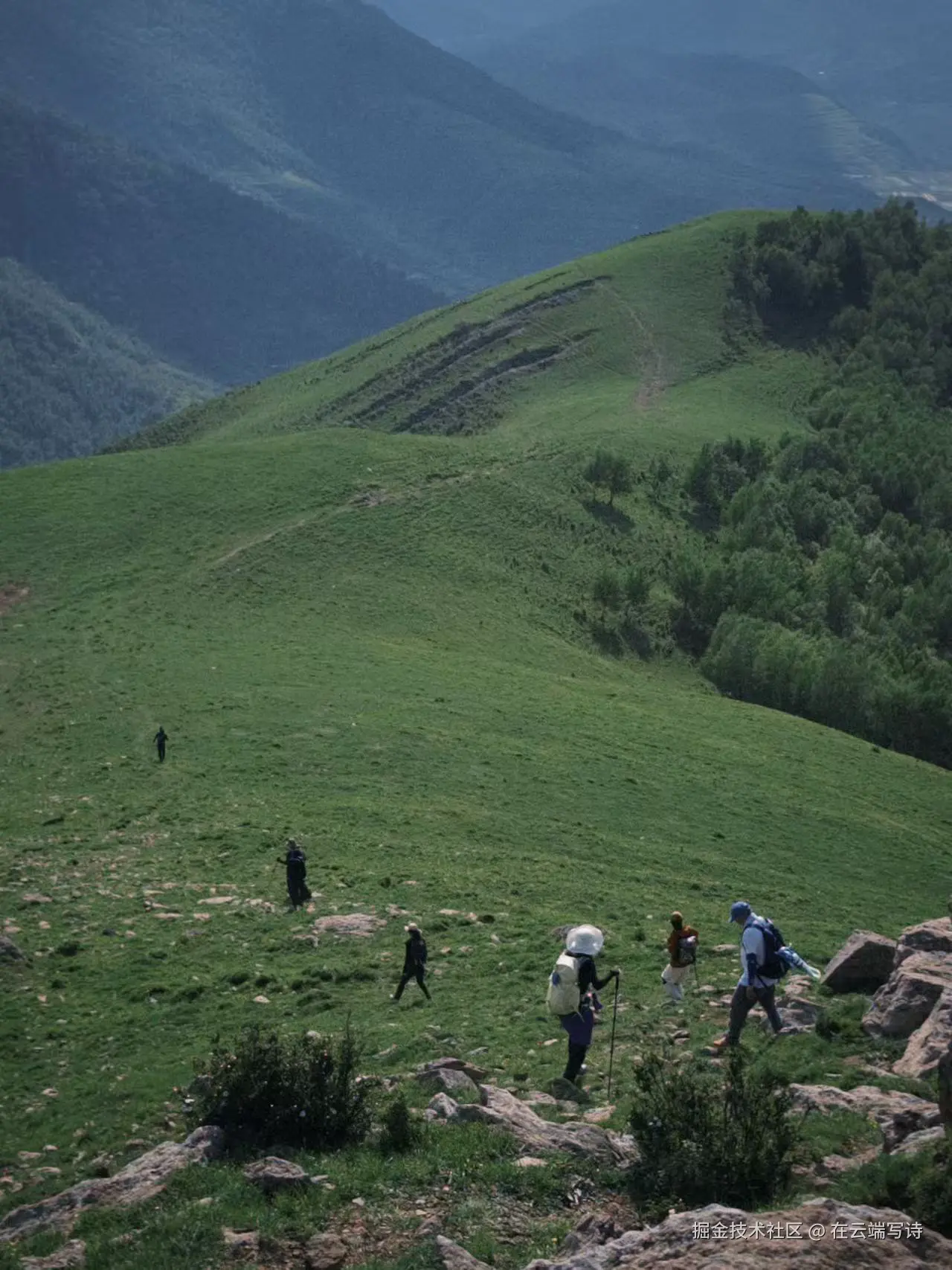 在云端写诗于2025-06-11 09:59发布的图片