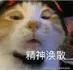 不要安排放纵餐丶于2026-03-13 01:43发布的图片