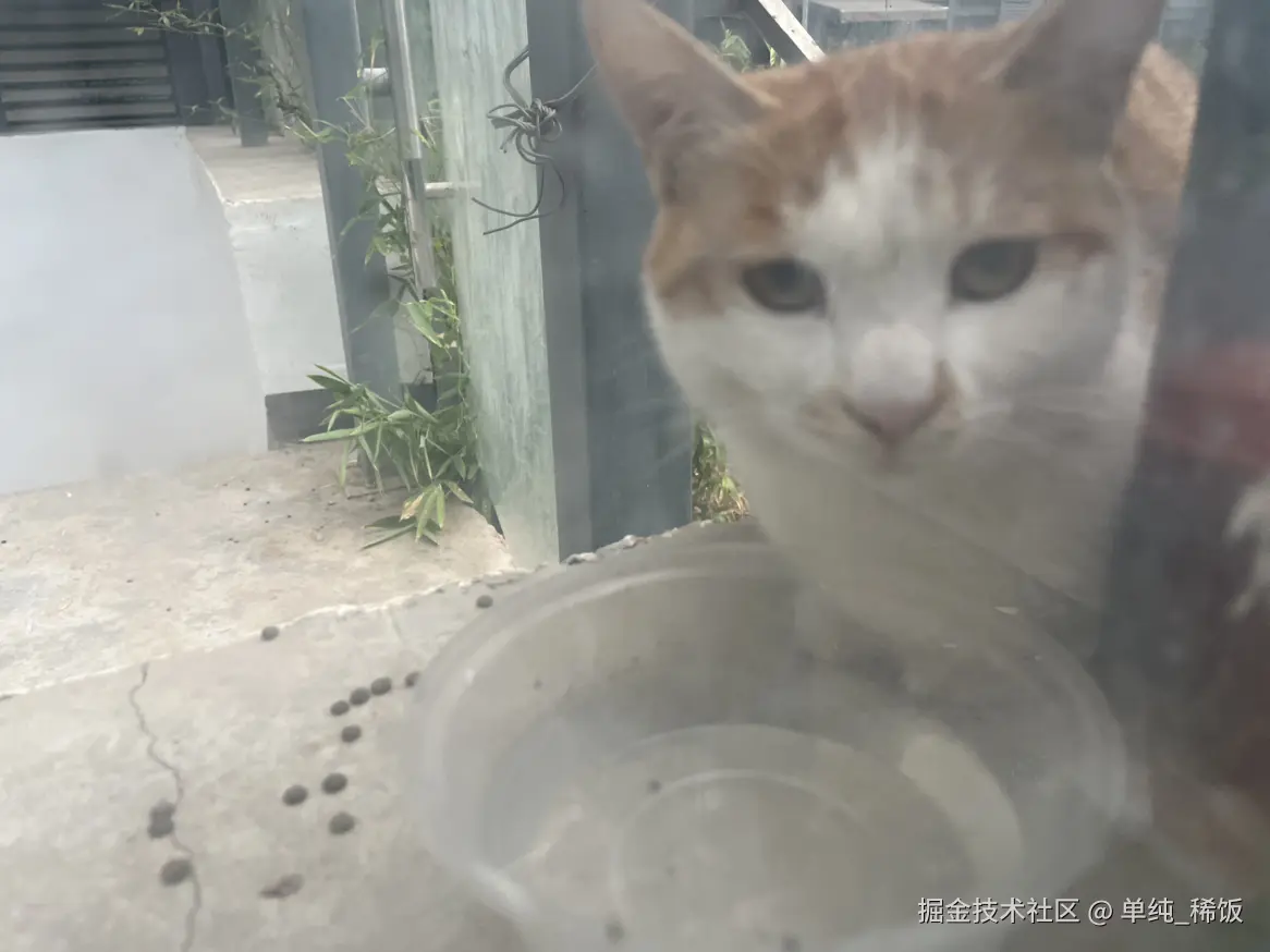 单纯_稀饭于2025-09-10 08:17发布的图片