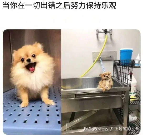 上过度的发条于2025-10-19 16:51发布的图片