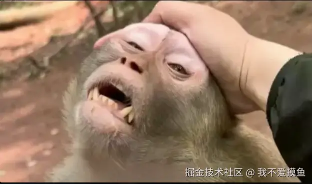 我不爱摸鱼于2024-08-22 09:23发布的图片