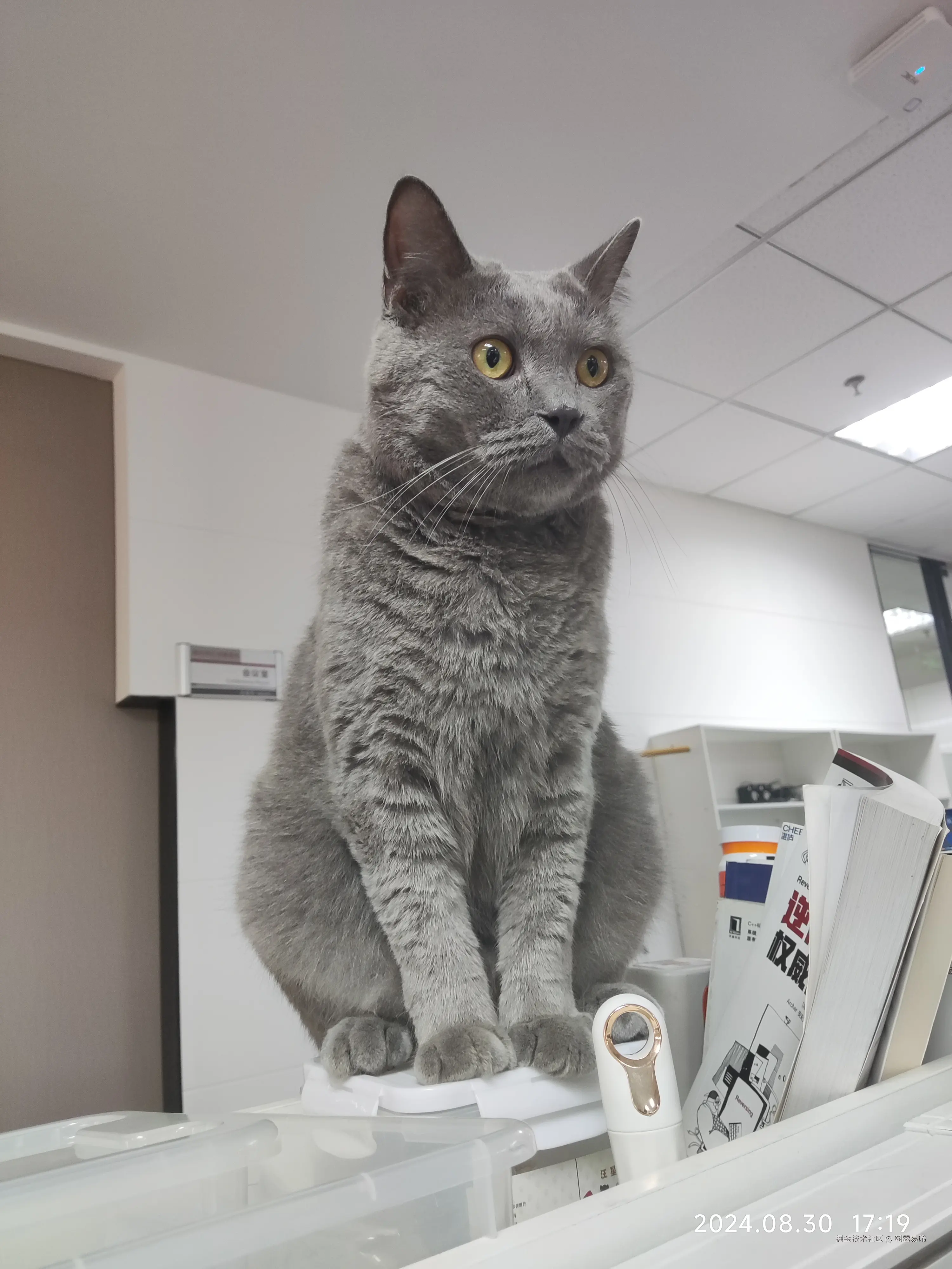 朝露易晞于2025-05-14 08:28发布的图片