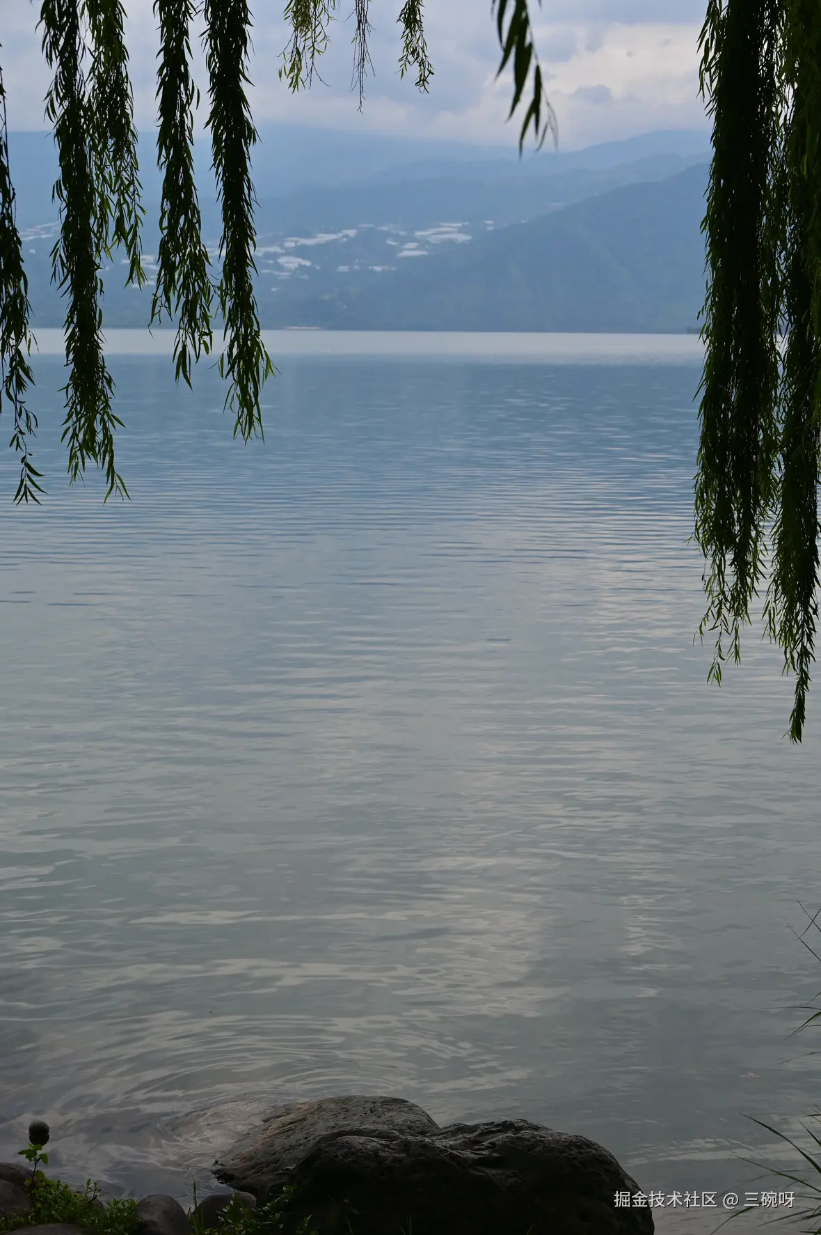 三碗呀于2025-08-11 01:51发布的图片