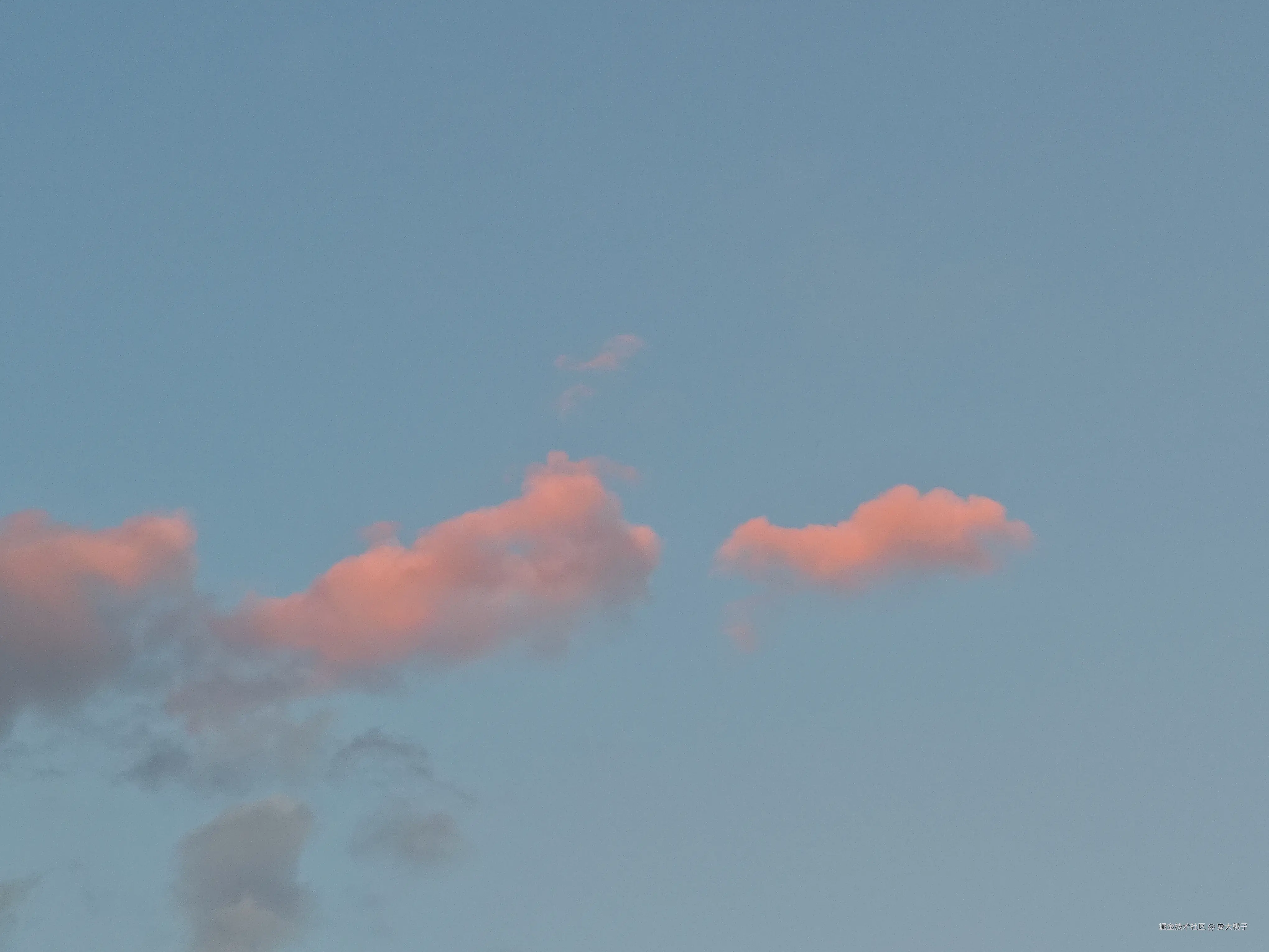 安大桃子于2026-04-12 13:31发布的图片