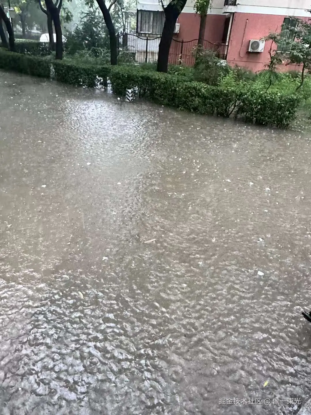 像一束光于2024-07-30 02:04发布的图片