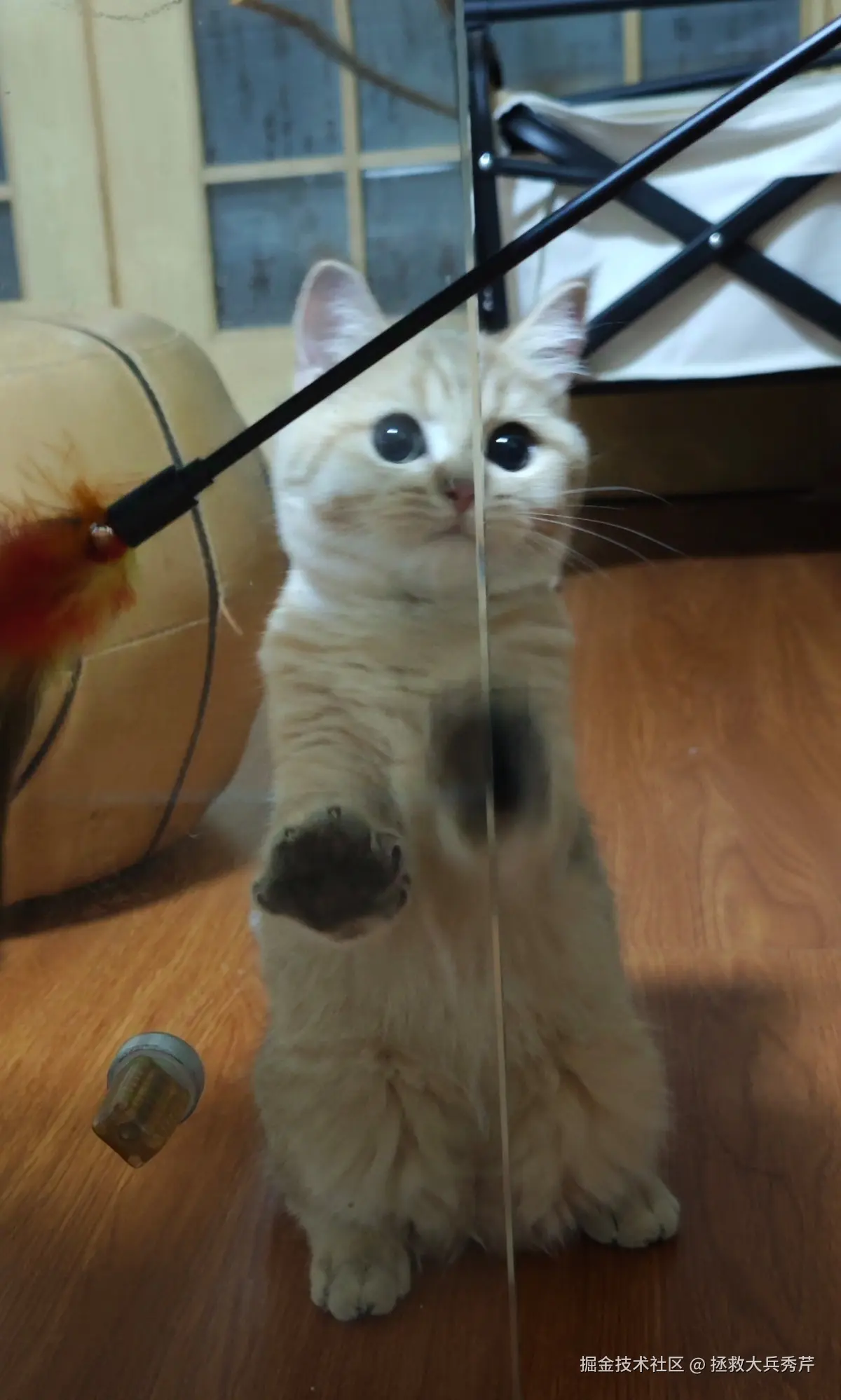 拯救大兵秀芹于2024-11-22 11:46发布的图片