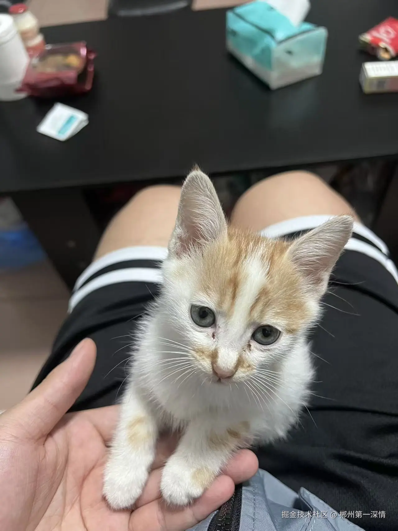 郴州第一深情于2025-09-12 14:22发布的图片