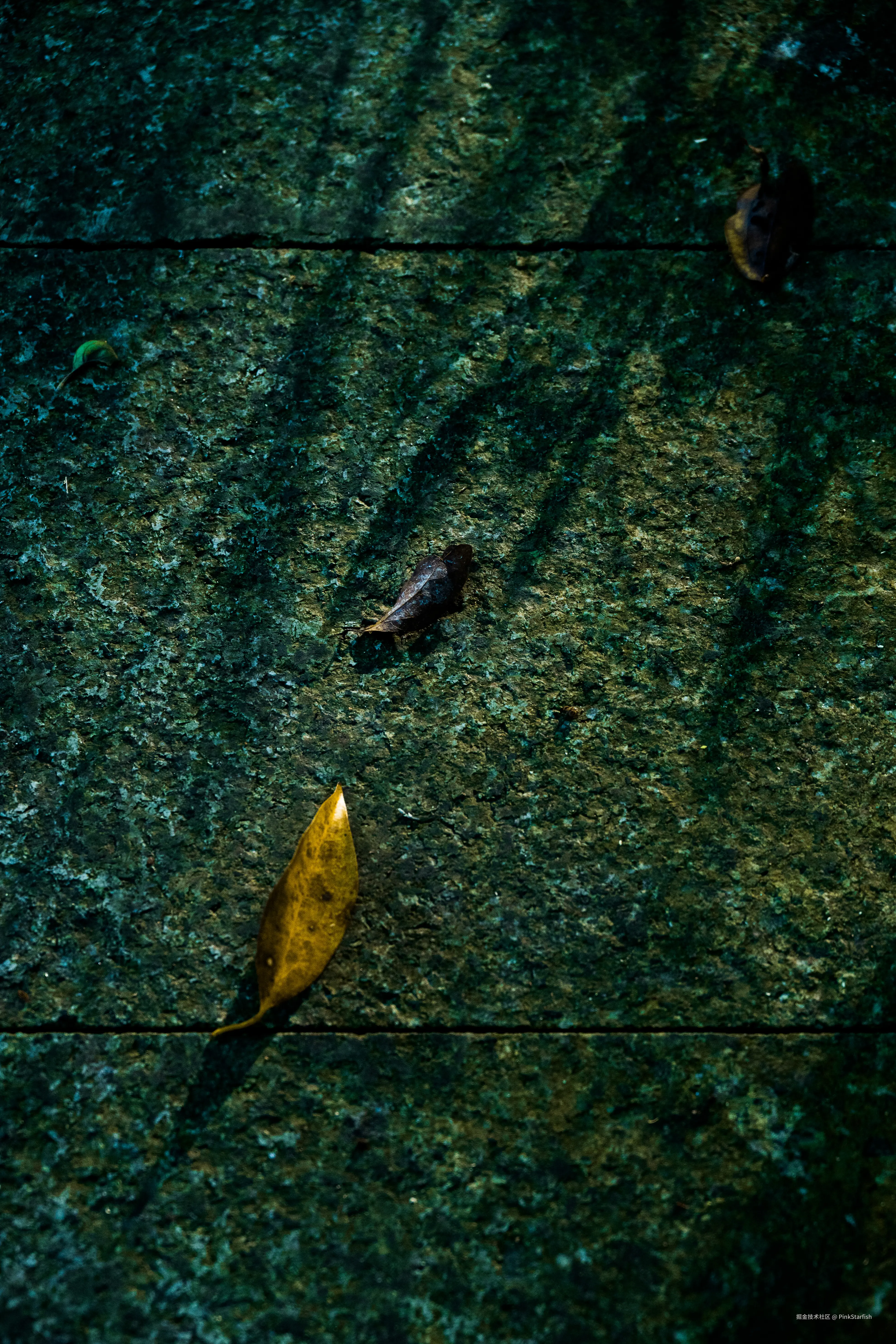 PinkStarfish于2025-07-28 15:35发布的图片