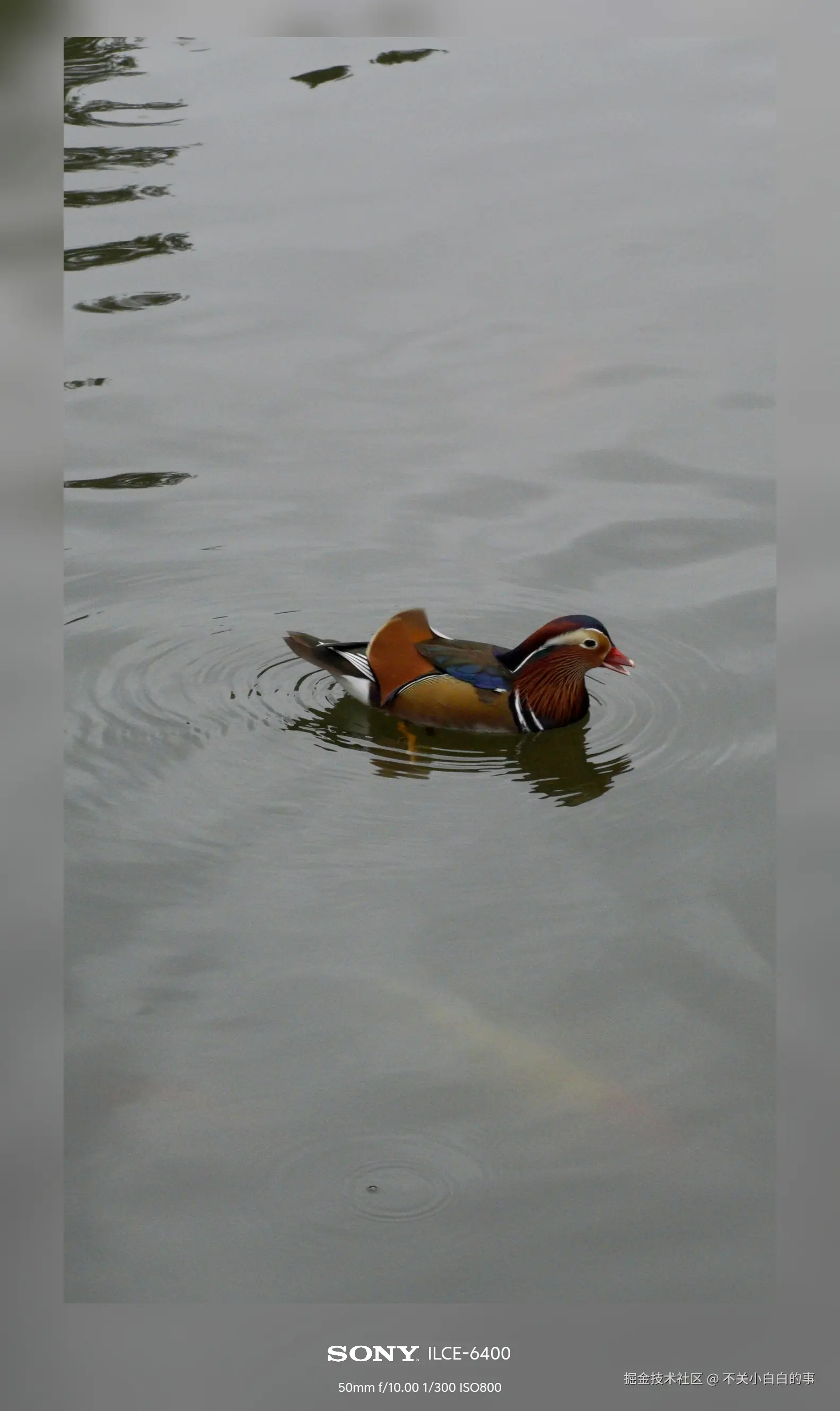 不关小白白的事于2024-10-08 14:03发布的图片