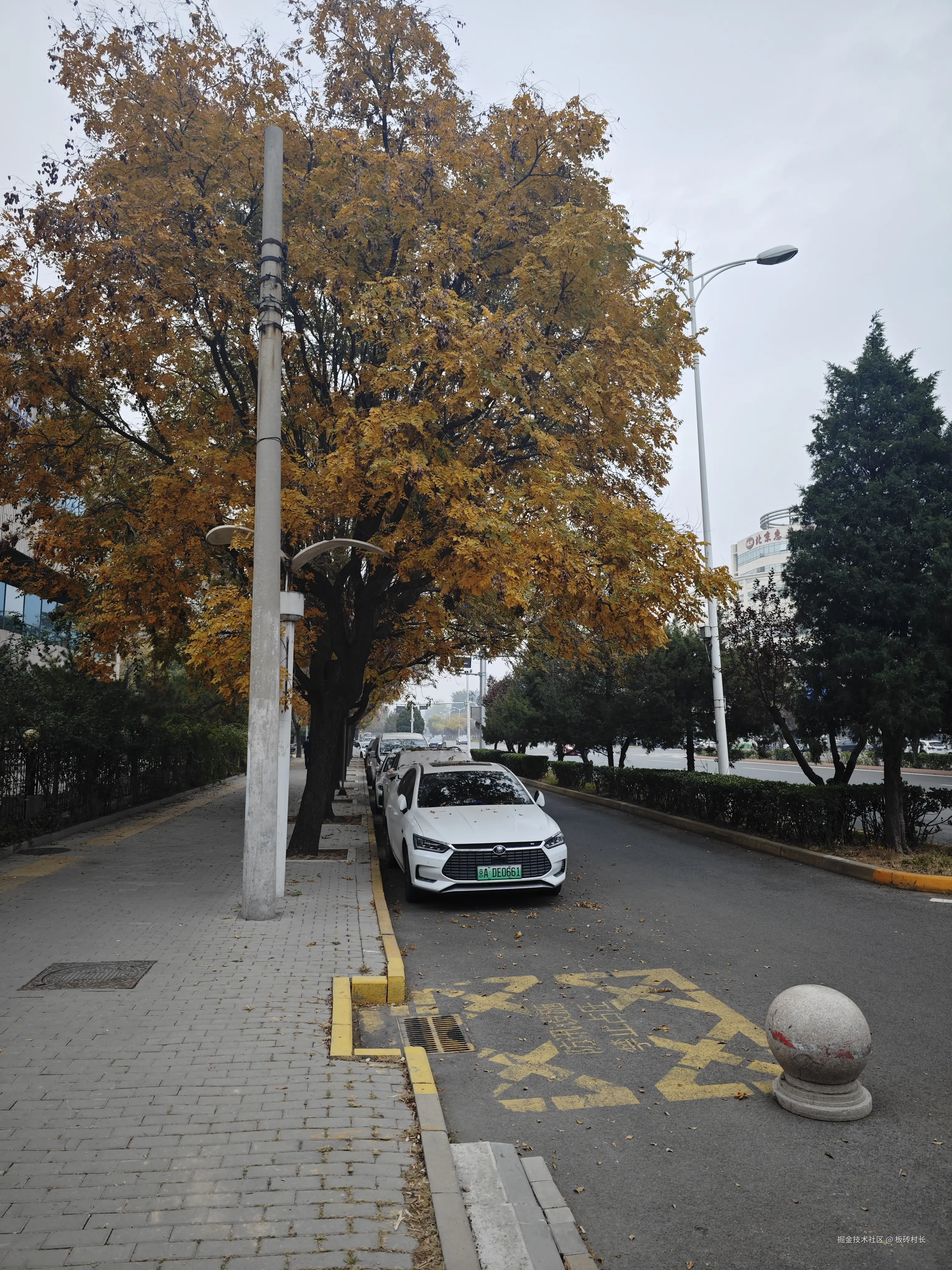 板砖村长于2024-11-01 16:04发布的图片