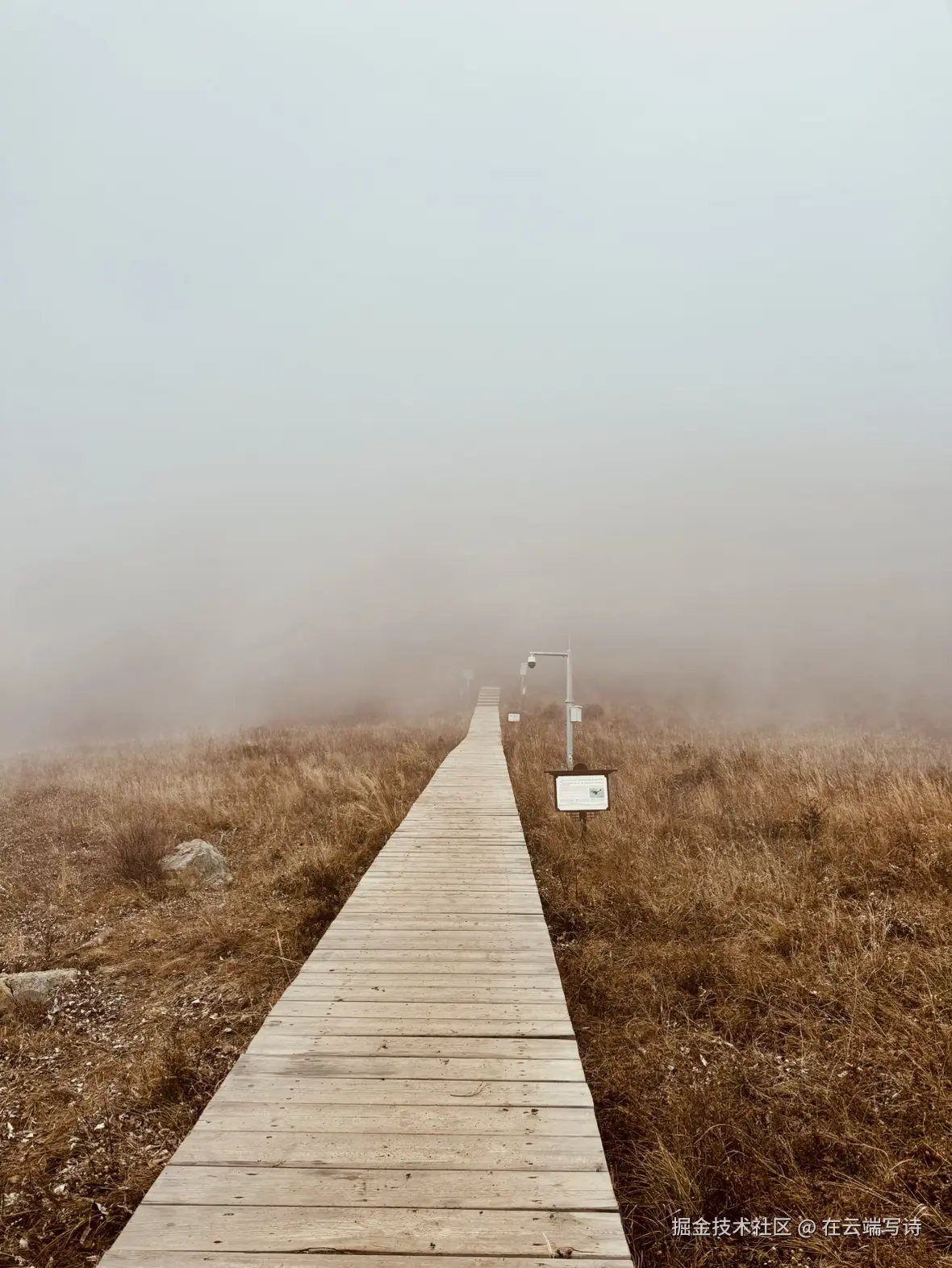 在云端写诗于2025-10-20 10:47发布的图片