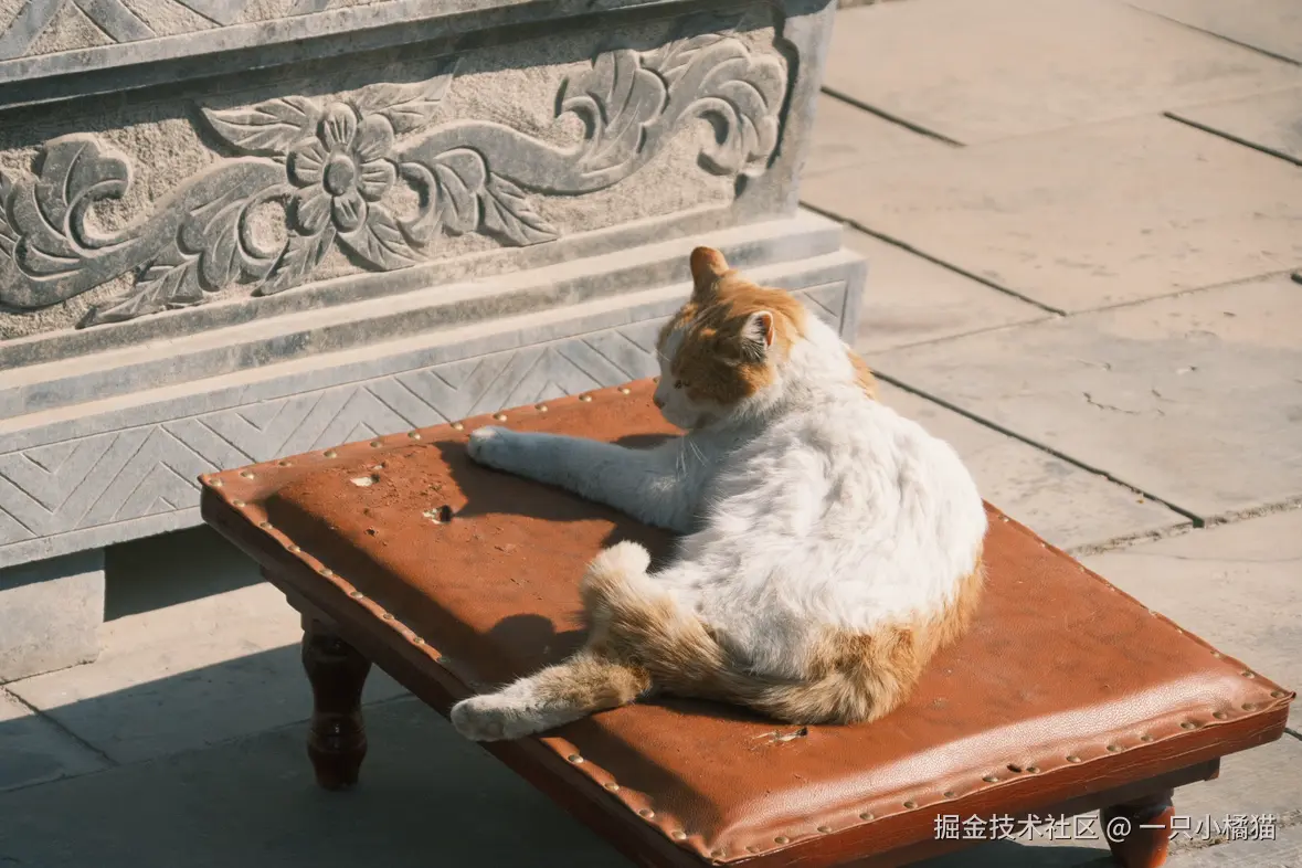 一只小橘猫于2026-02-09 09:16发布的图片