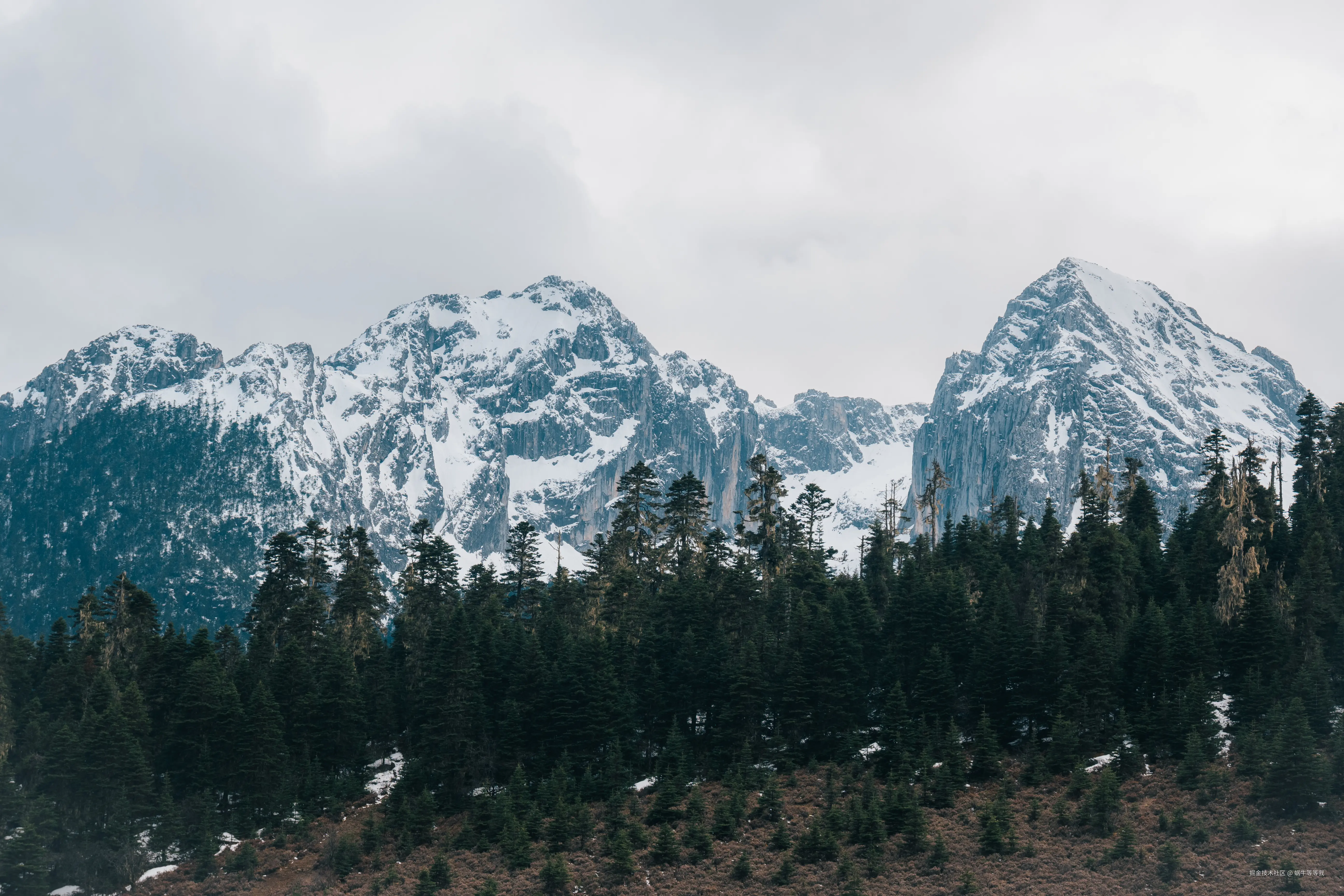 蜗牛等等我于2025-05-29 15:46发布的图片