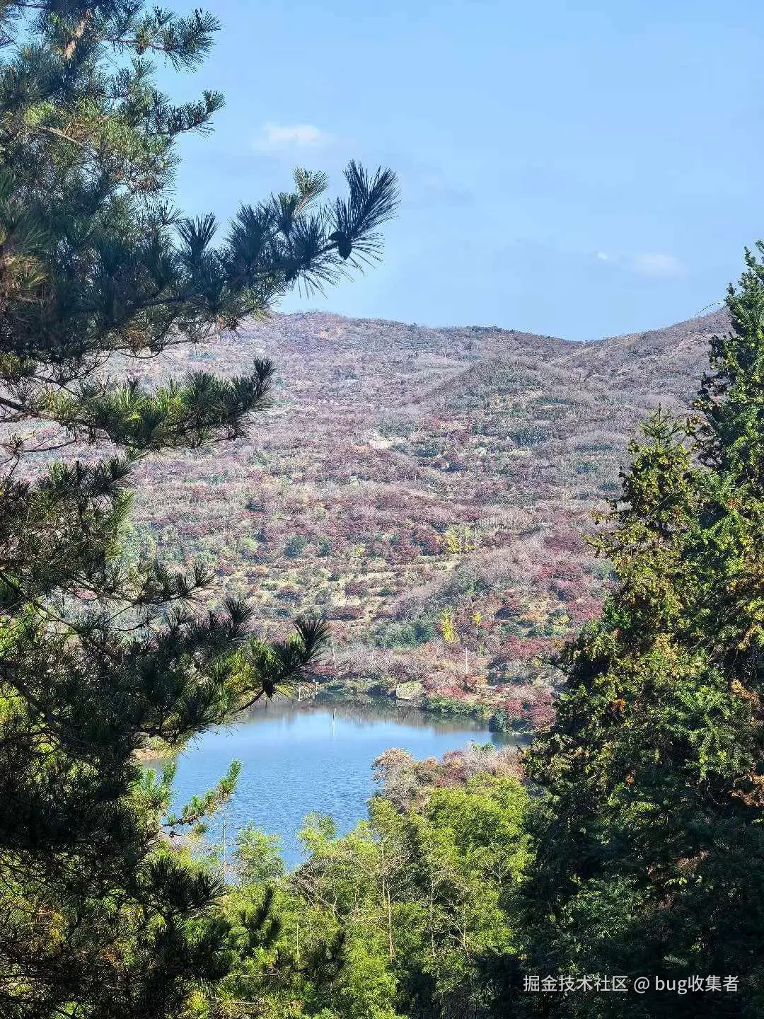 bug收集者于2025-11-17 13:02发布的图片