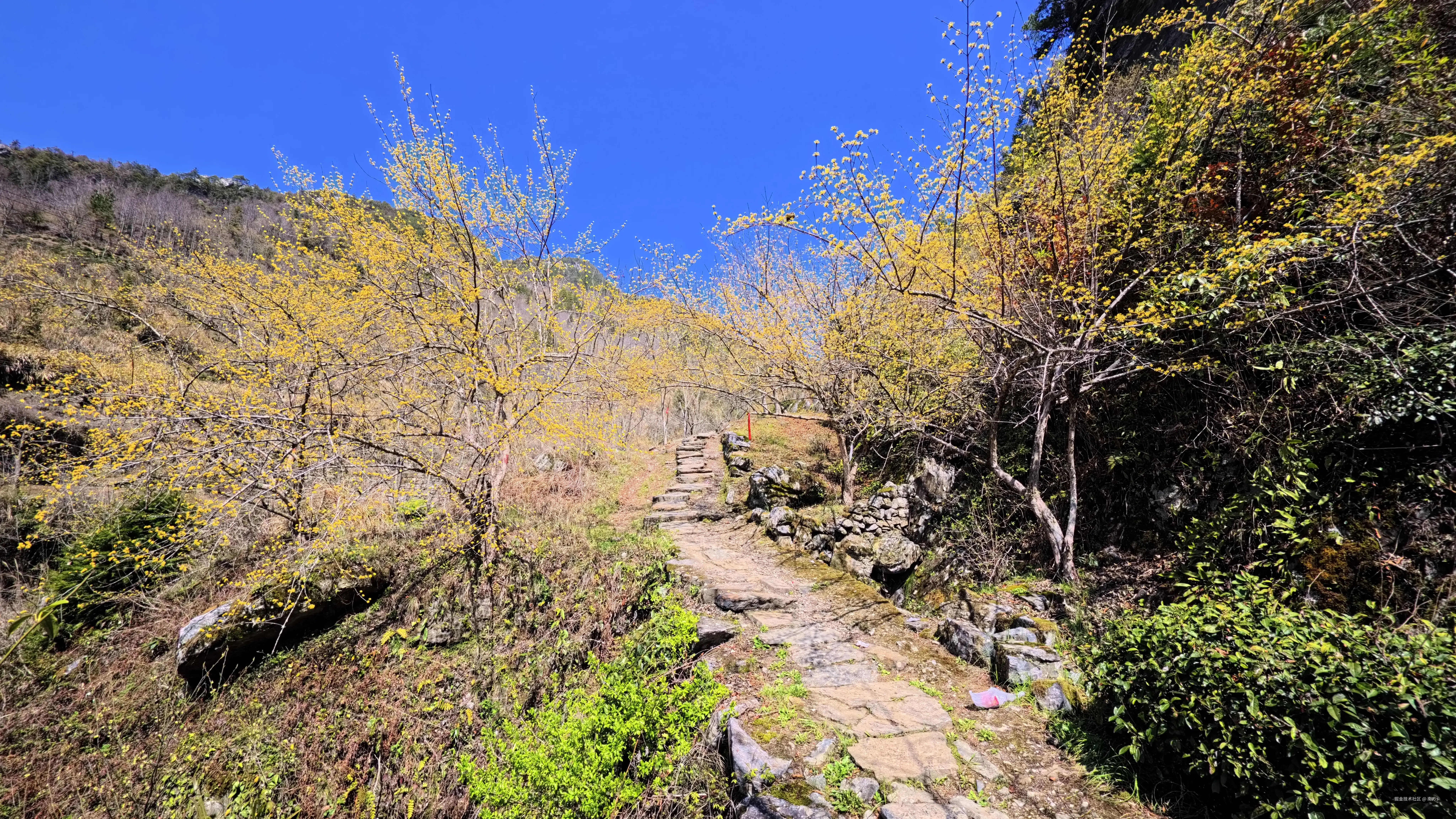 南方s于2026-03-30 10:38发布的图片