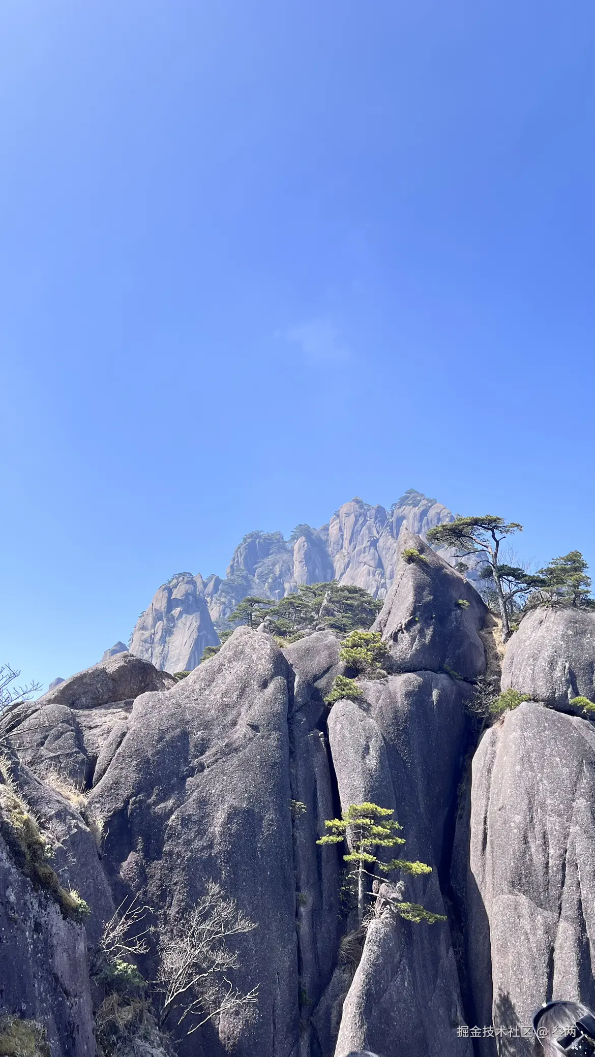 叁两于2026-03-09 09:55发布的图片