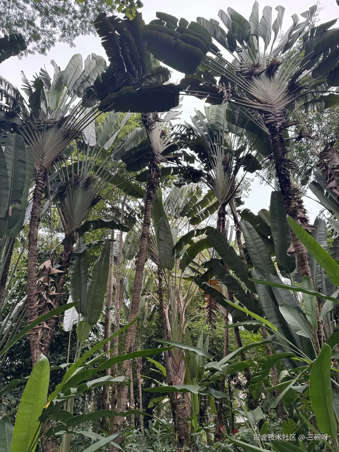 三碗呀于2024-12-16 10:36发布的图片