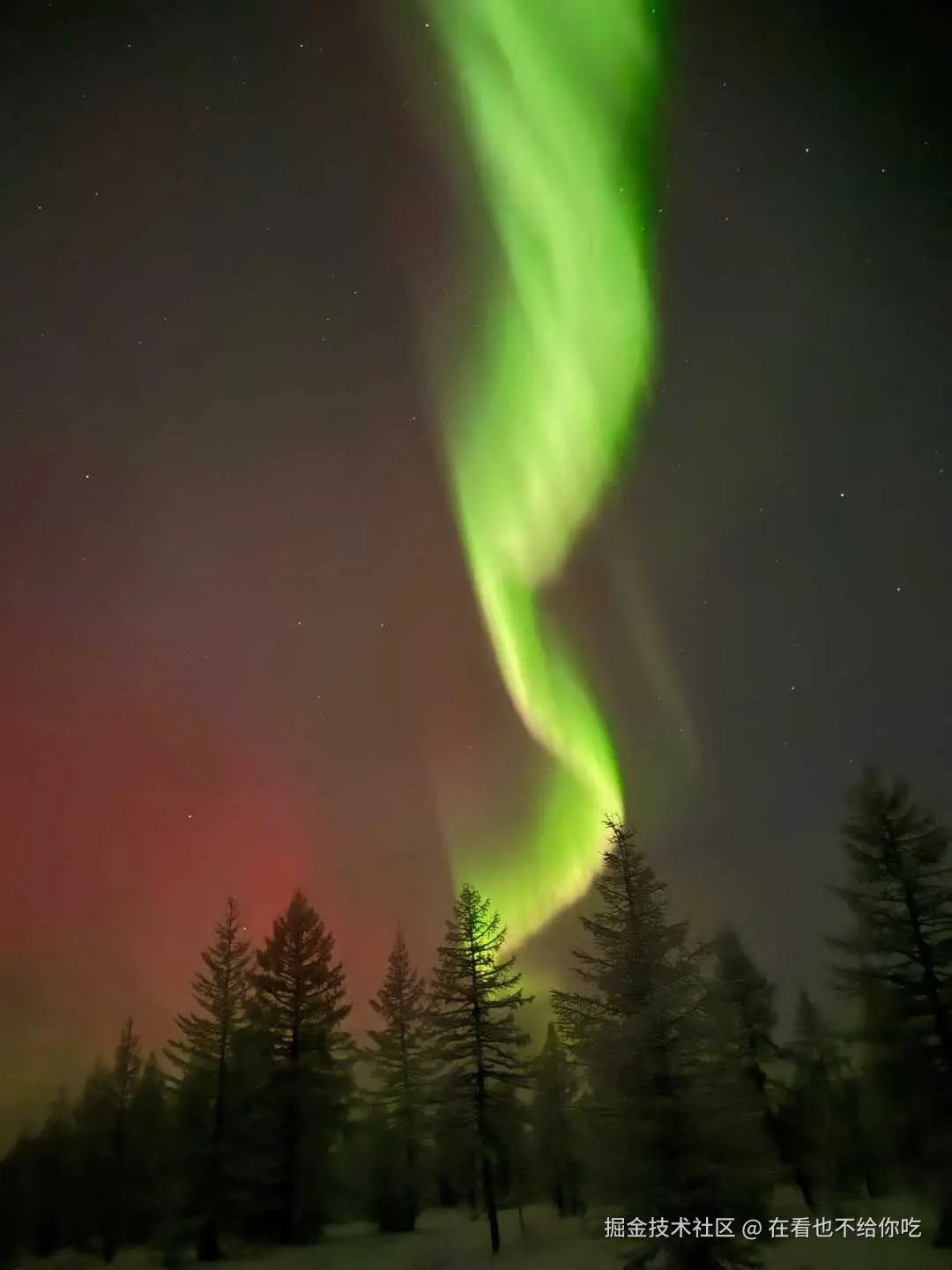 在看也不给你吃于2026-01-22 13:41发布的图片