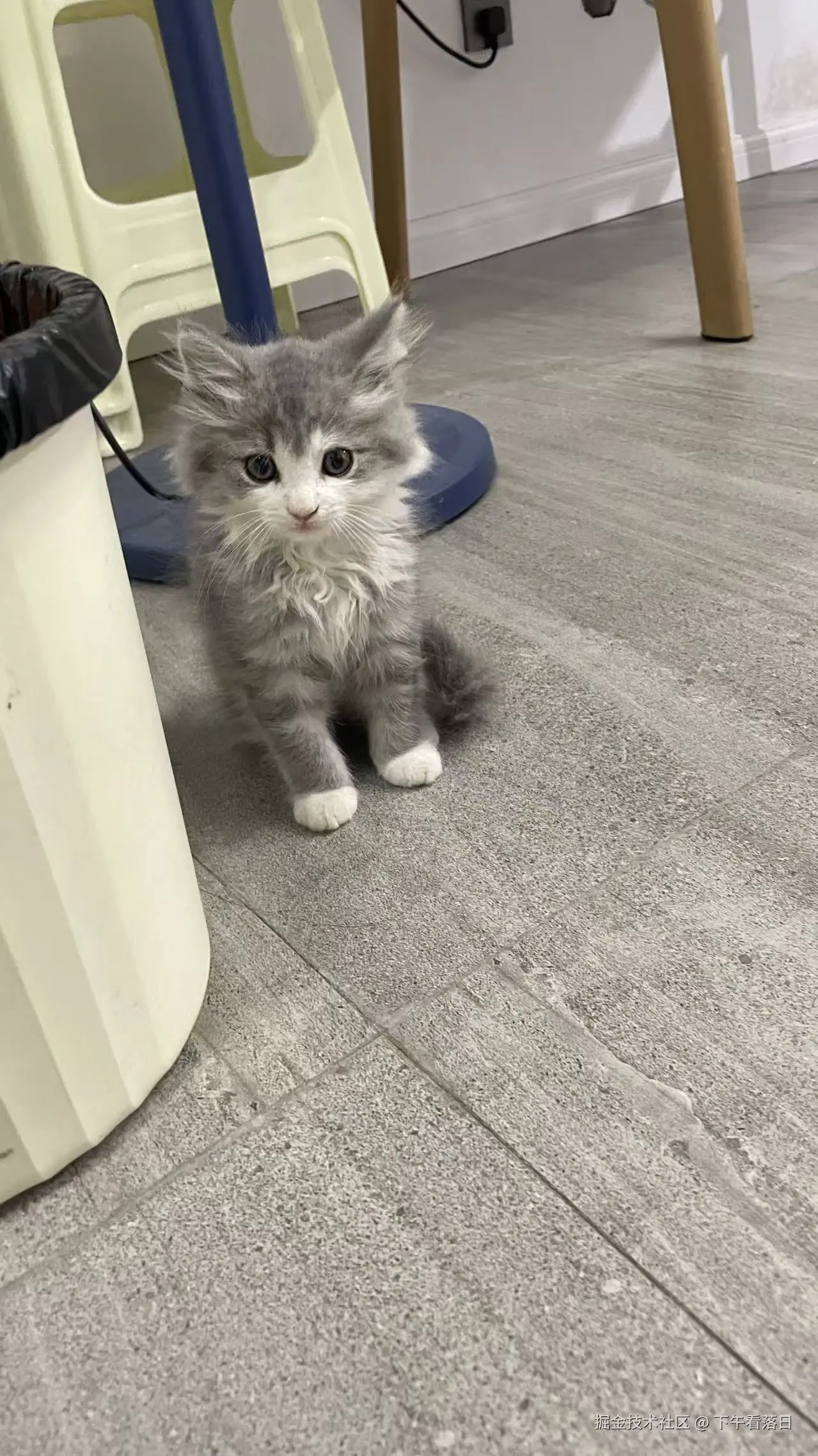 下午看落日于2025-08-26 10:14发布的图片