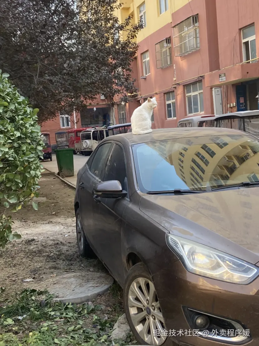 外卖程序媛于2025-11-21 11:38发布的图片