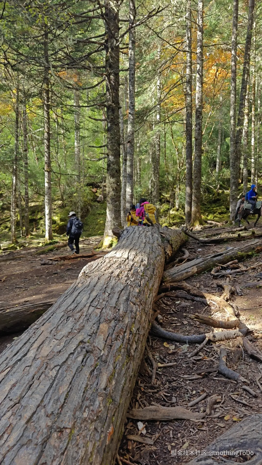 nothingToDo于2025-04-10 15:10发布的图片