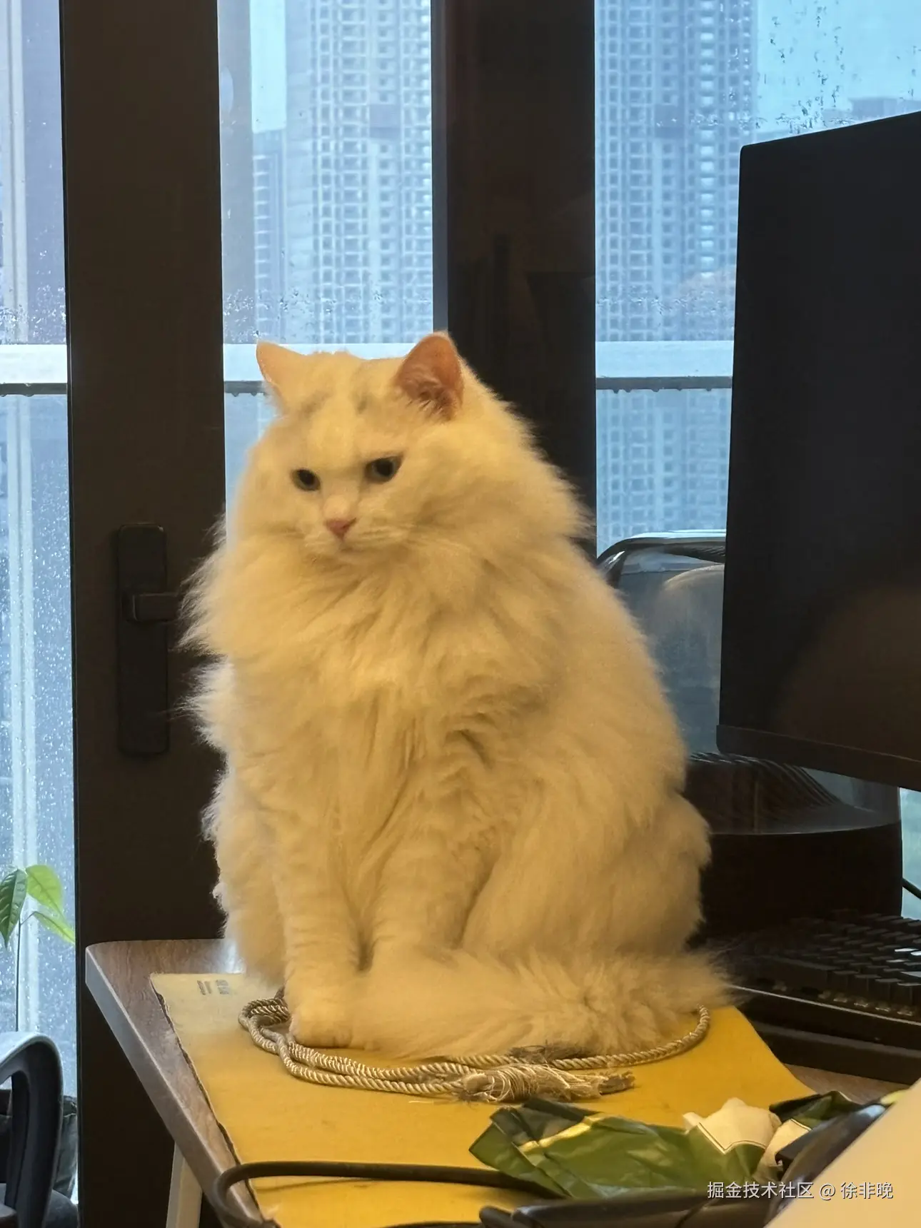 徐非晚于2024-08-13 08:51发布的图片