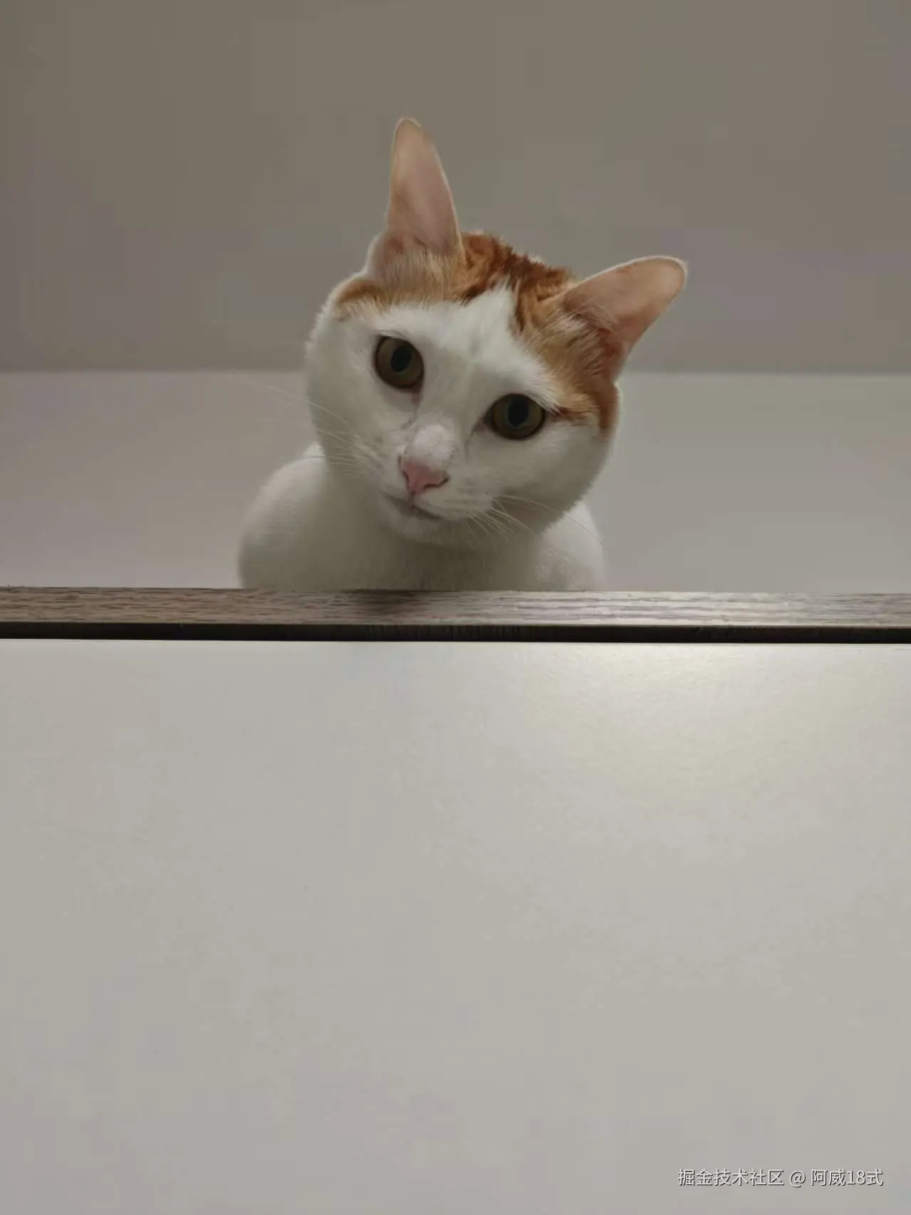 阿威18式于2025-10-24 01:16发布的图片