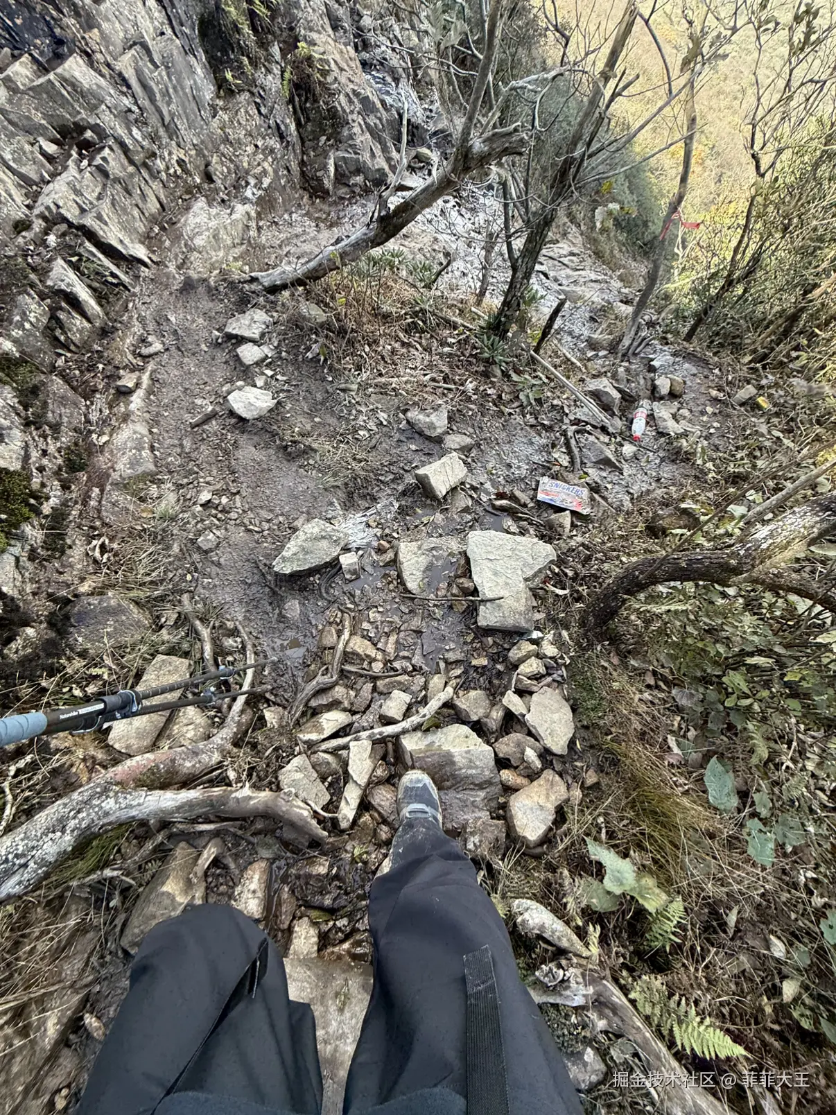 菲菲大王于2025-11-03 11:04发布的图片