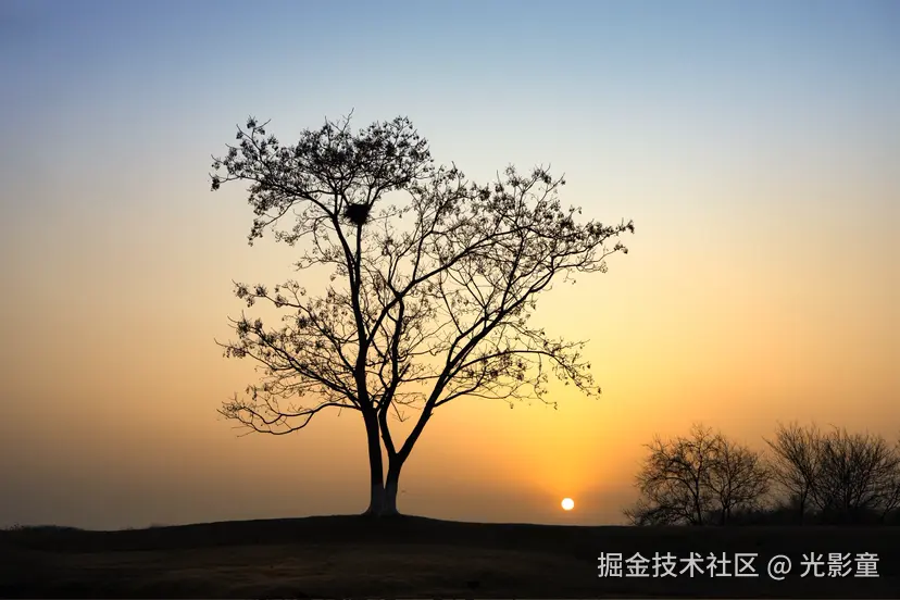 光影童于2026-01-09 08:15发布的图片