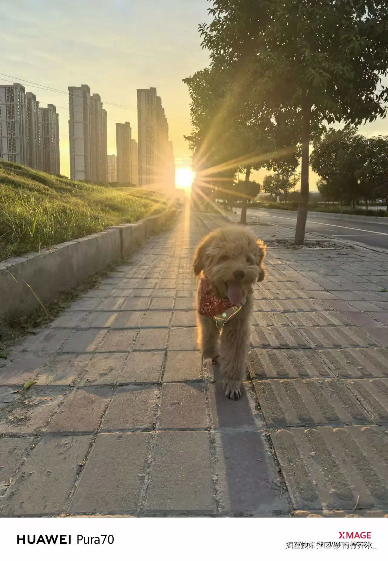 南有乔木_于2024-09-20 19:11发布的图片