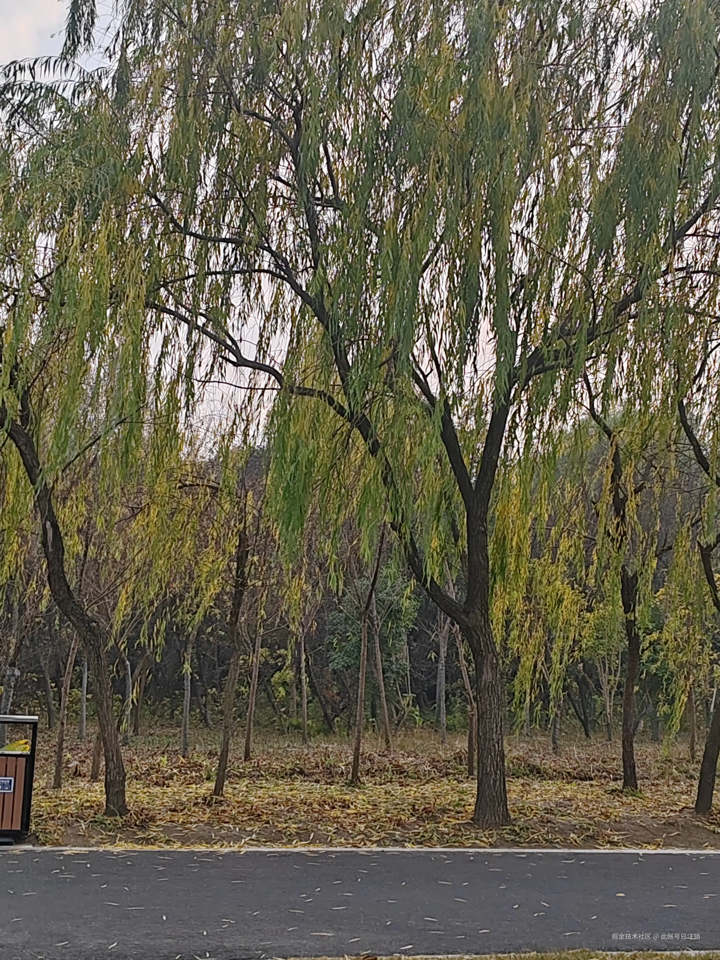 此帐号已注销于2025-12-20 15:02发布的图片