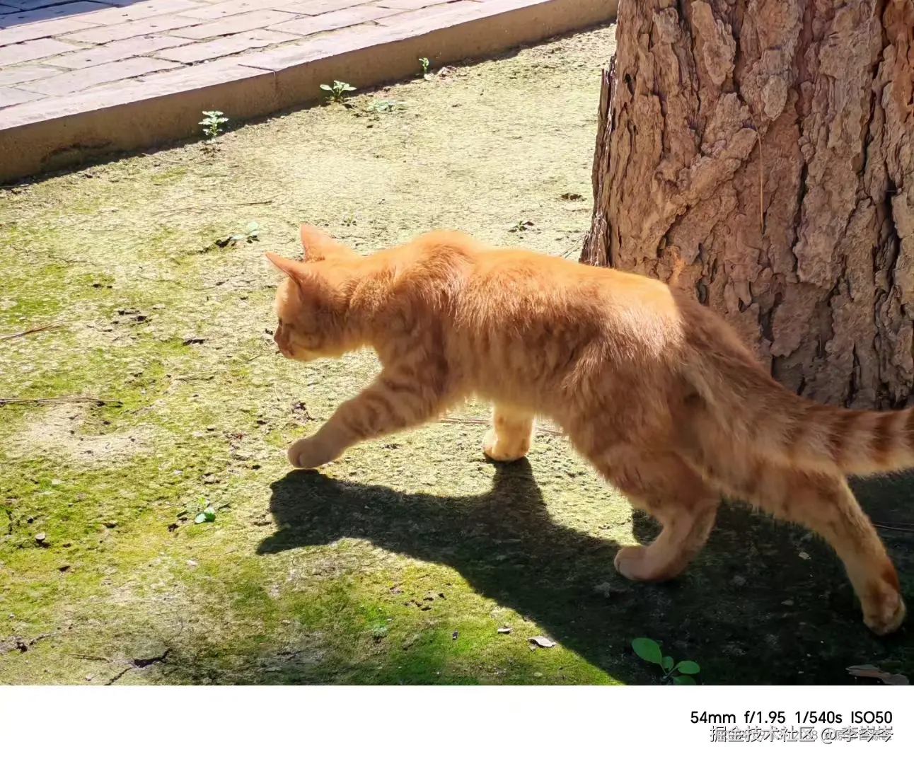 李岑岑于2024-10-06 22:22发布的图片