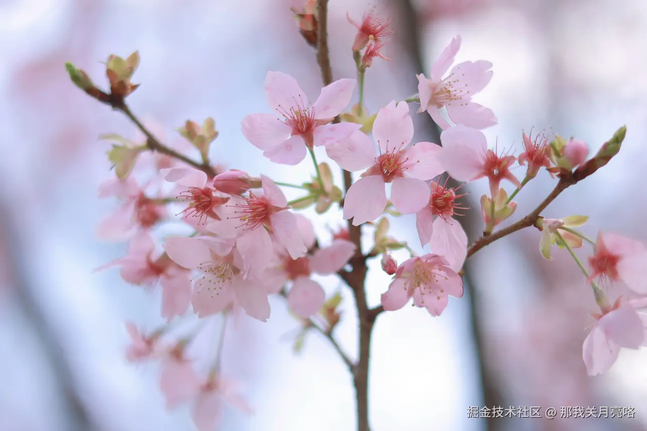 那我关月亮咯于2025-03-17 11:18发布的图片