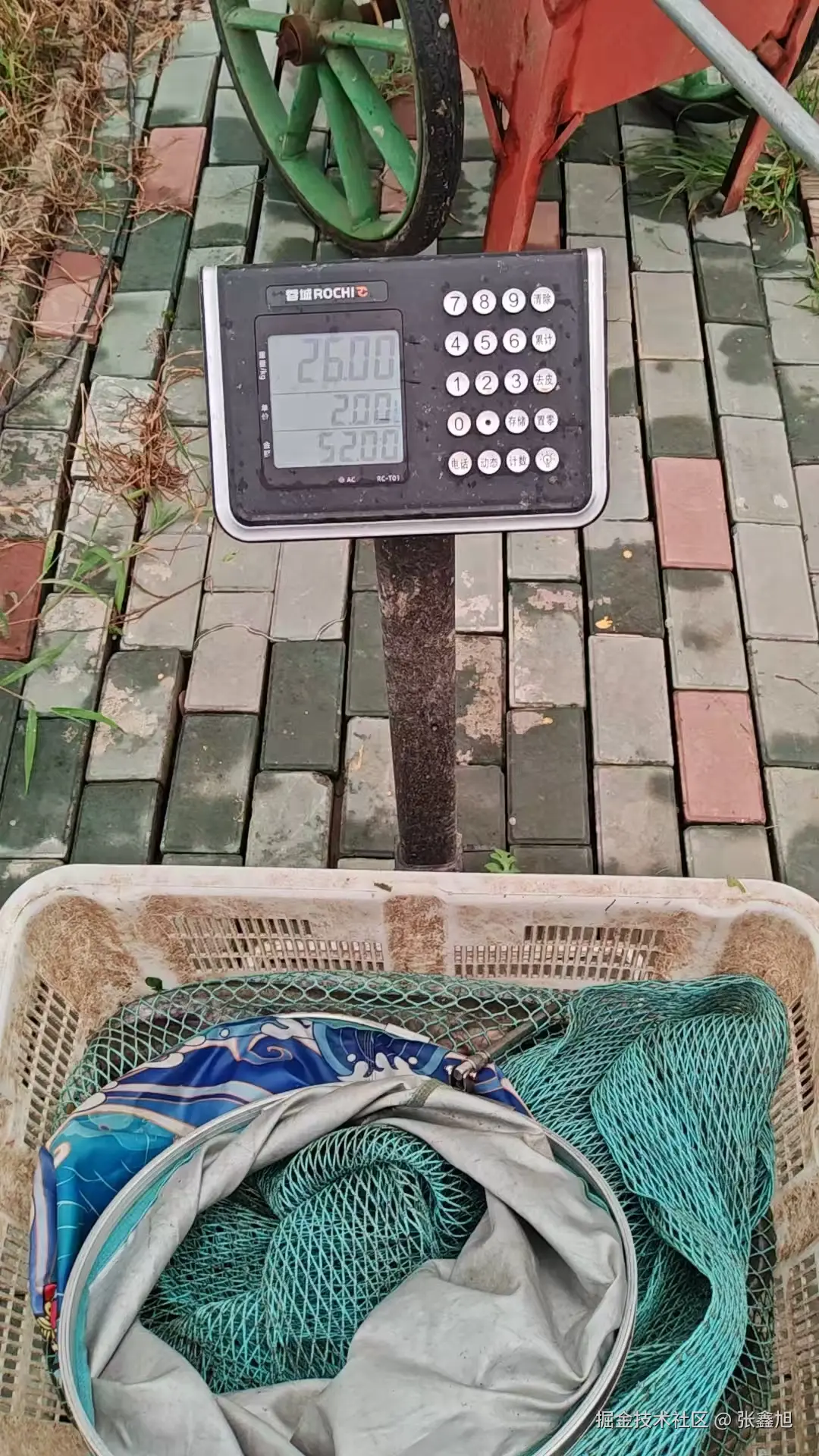 张鑫旭于2025-08-06 14:20发布的图片