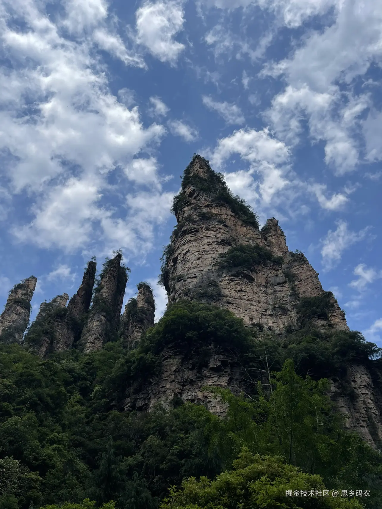 思乡码农于2026-05-08 10:37发布的图片