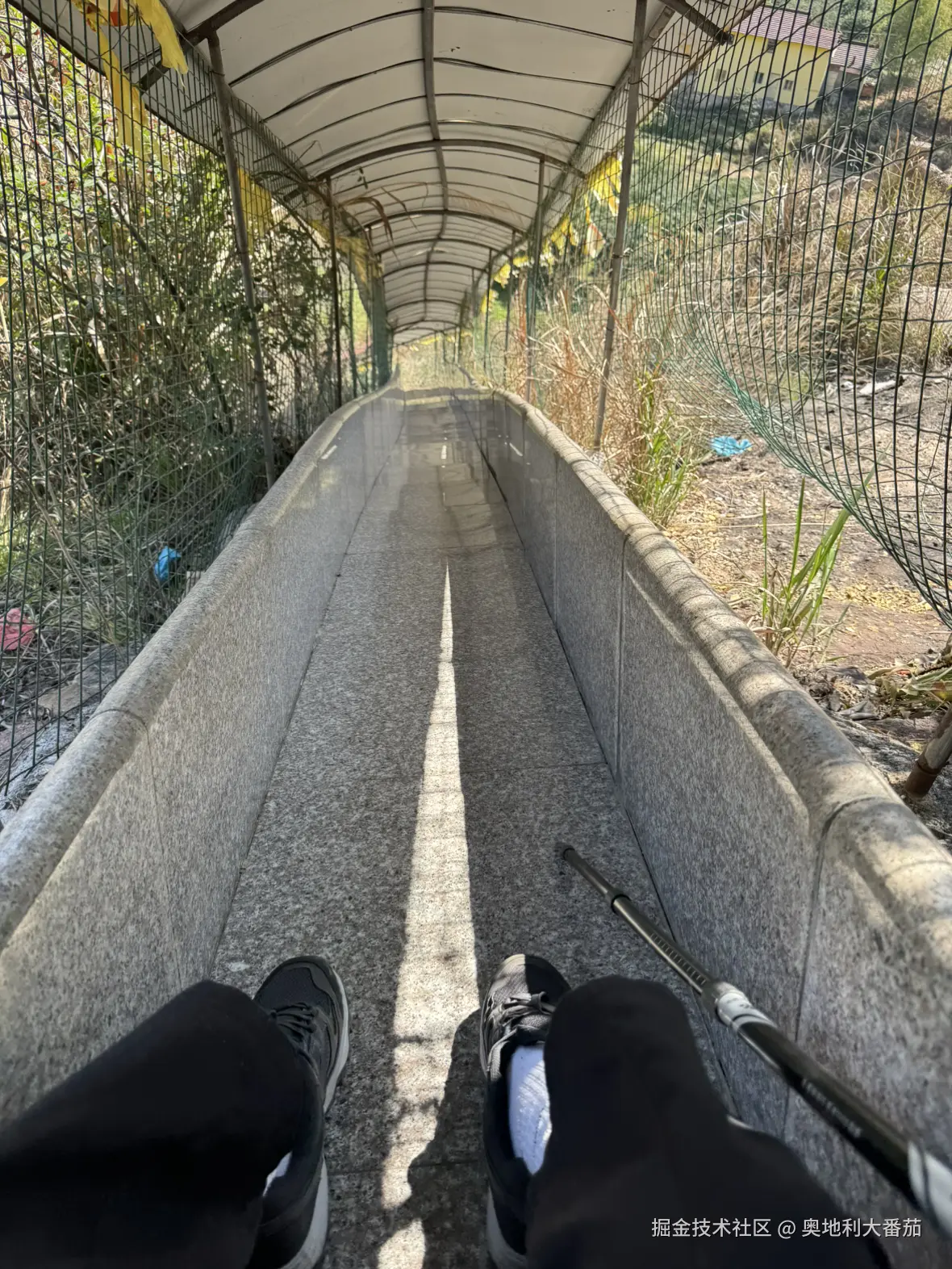 奥地利大番茄于2025-03-24 10:28发布的图片