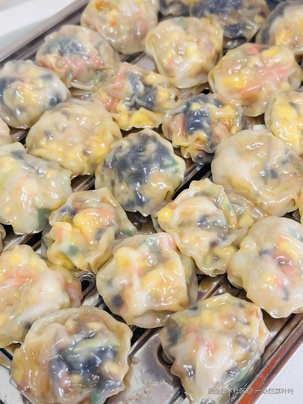 一朵烂菜叶叶于2026-04-20 09:03发布的图片