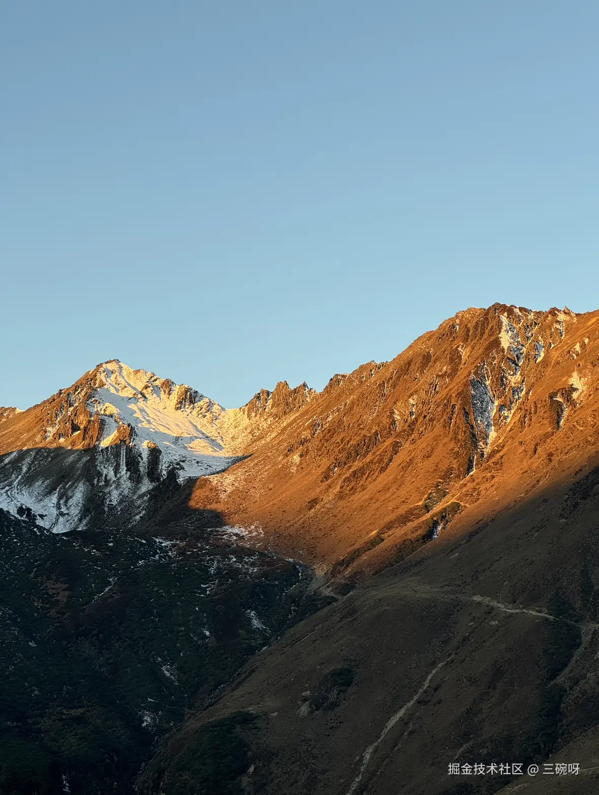 三碗呀于2024-11-11 16:50发布的图片